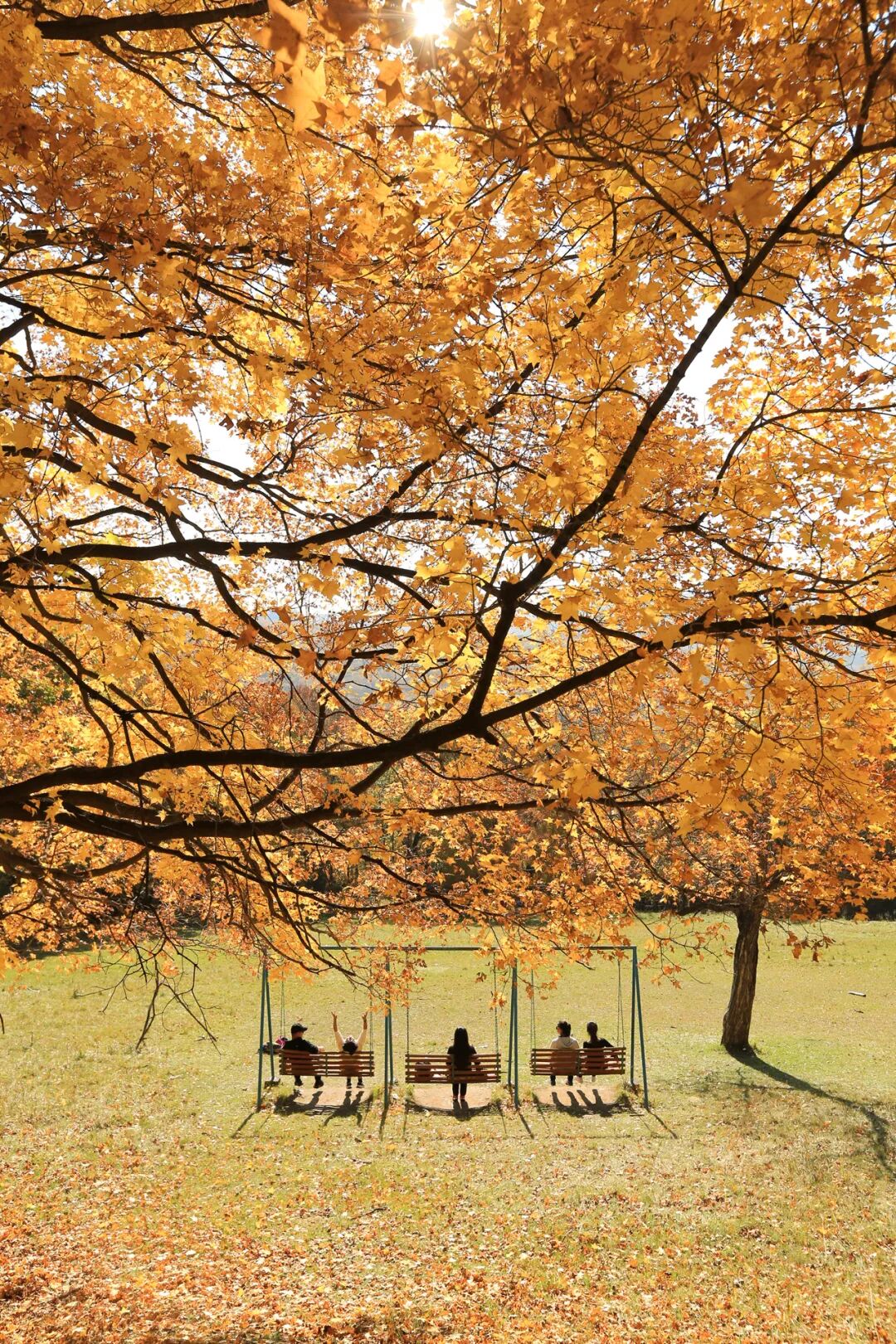 Image related to Top Autumn Getaway Routes for National Day – Still Time to Plan!