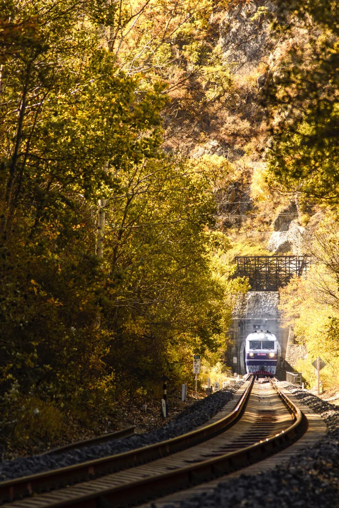 Image related to Top Autumn Getaway Routes for National Day – Still Time to Plan!