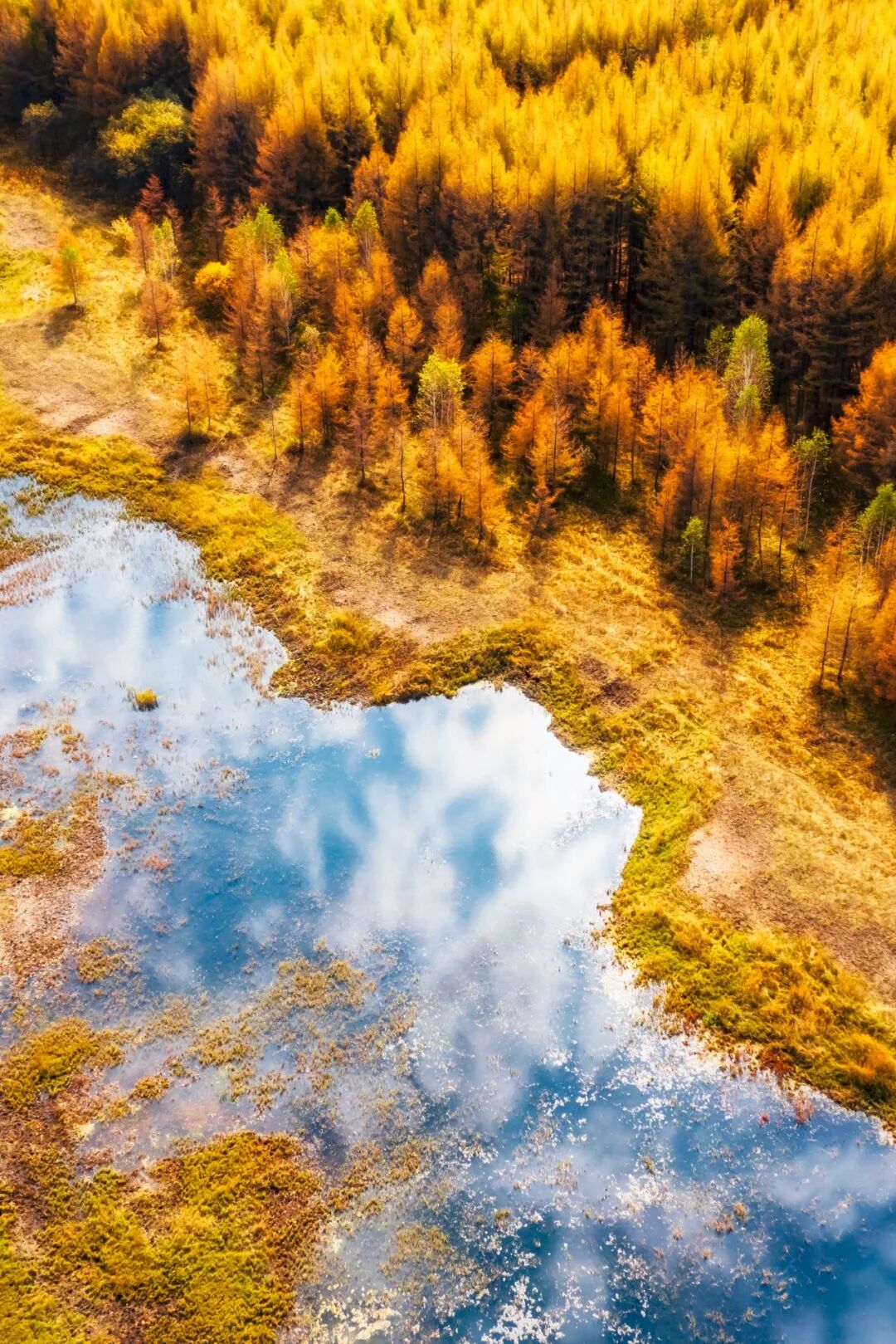 Image related to Top Autumn Getaway Routes for National Day – Still Time to Plan!