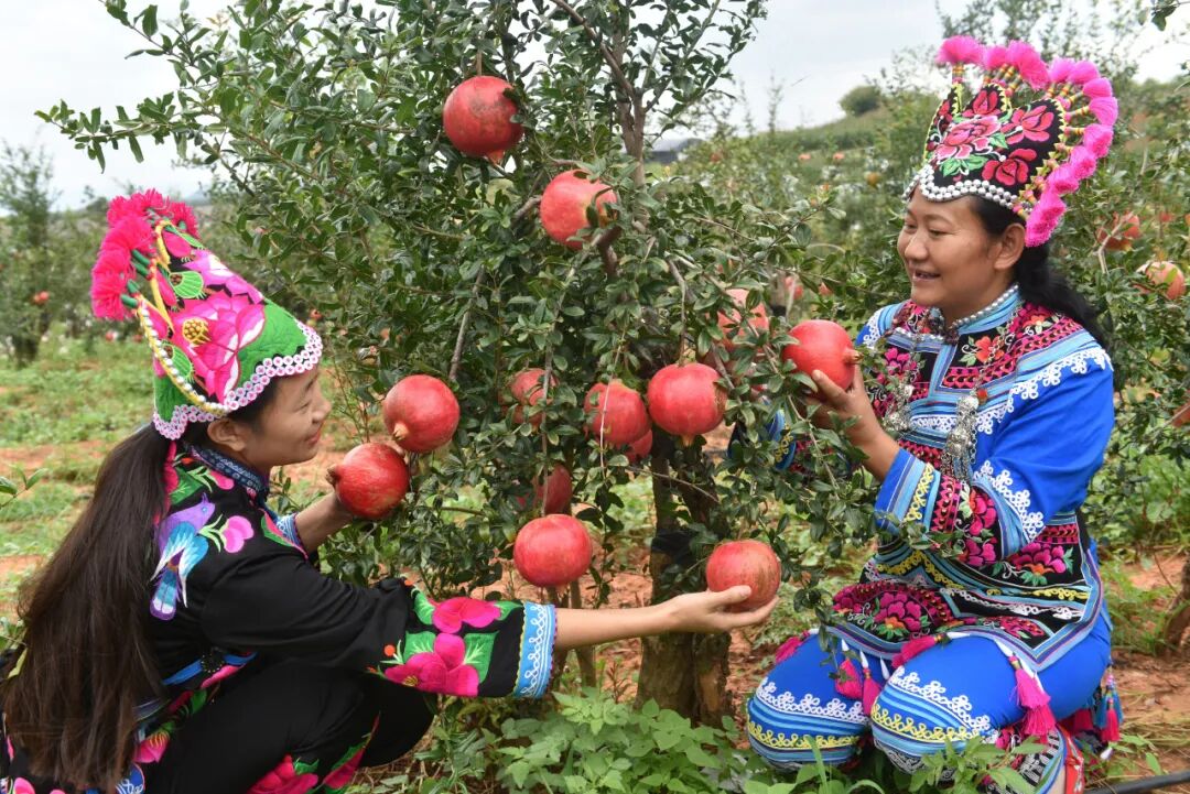 Image related to China's "Sunshine City" is Actually in Yunnan?