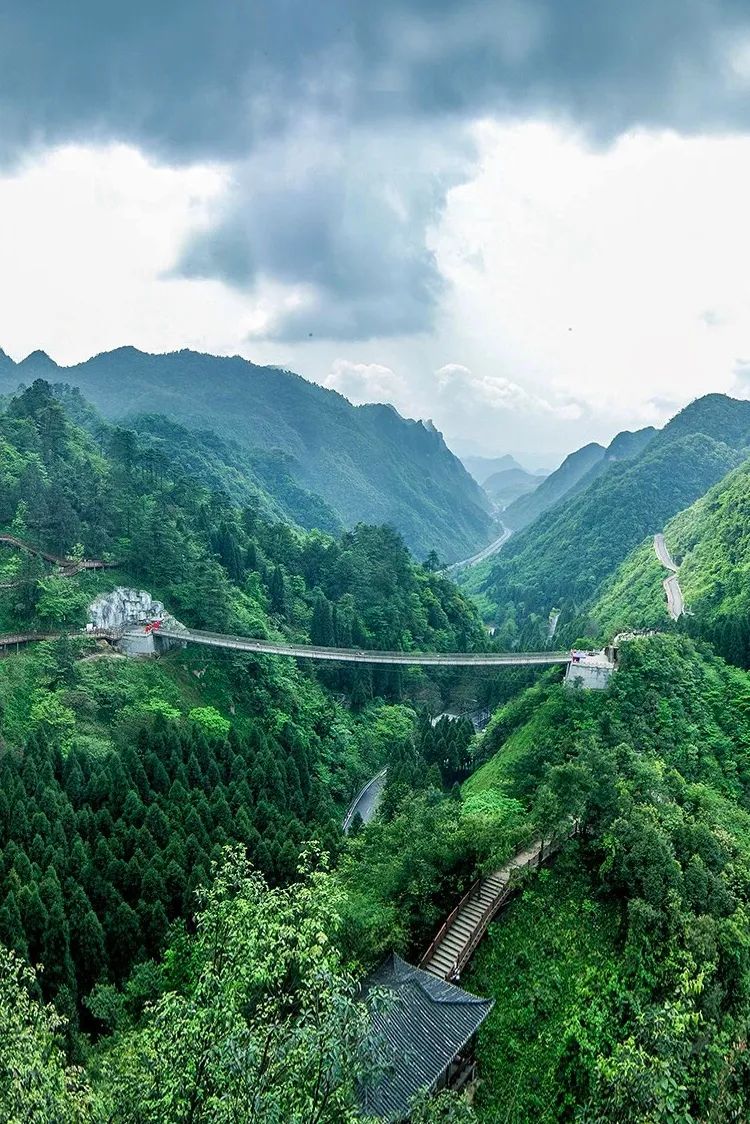 Image related to Guizhou's 1.258 Million Spring Mountains Conceal the Most Magnificent March on Earth