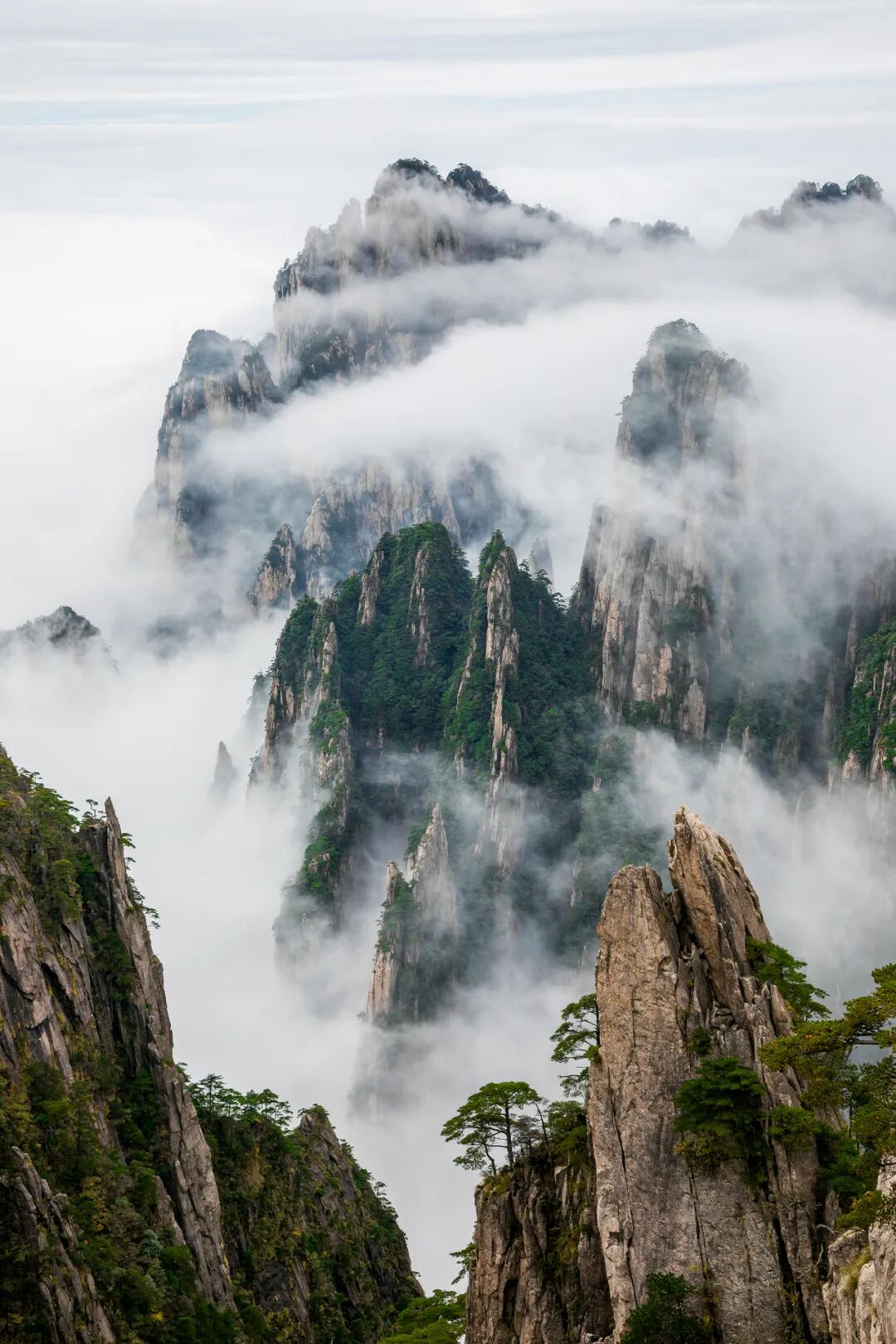 Image related to The Understated Top Nut-Producing Province of China: How Many More Wild Delicacies Does It Contribute to Chinese New Year?