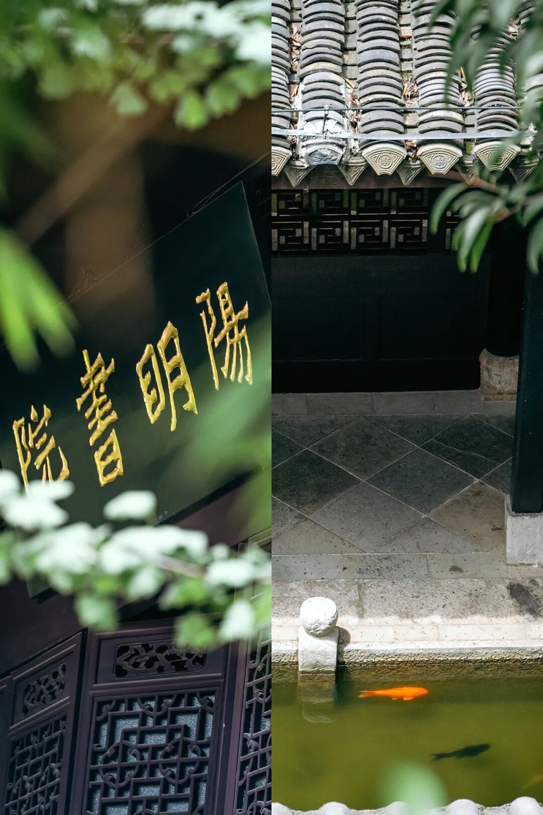 Image related to Why Has Guizhou Been Shaped into a Land of Infinite Diversity by People Across Time and Space?