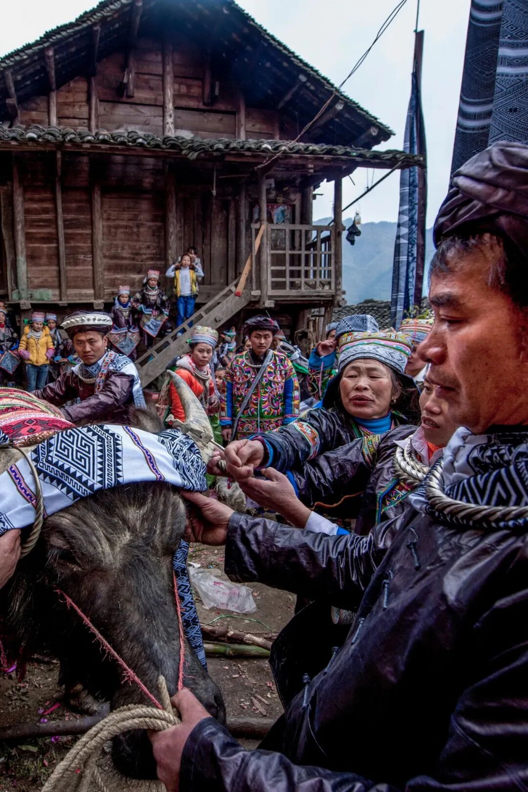 Image related to Why Has Guizhou Been Shaped into a Land of Infinite Diversity by People Across Time and Space?