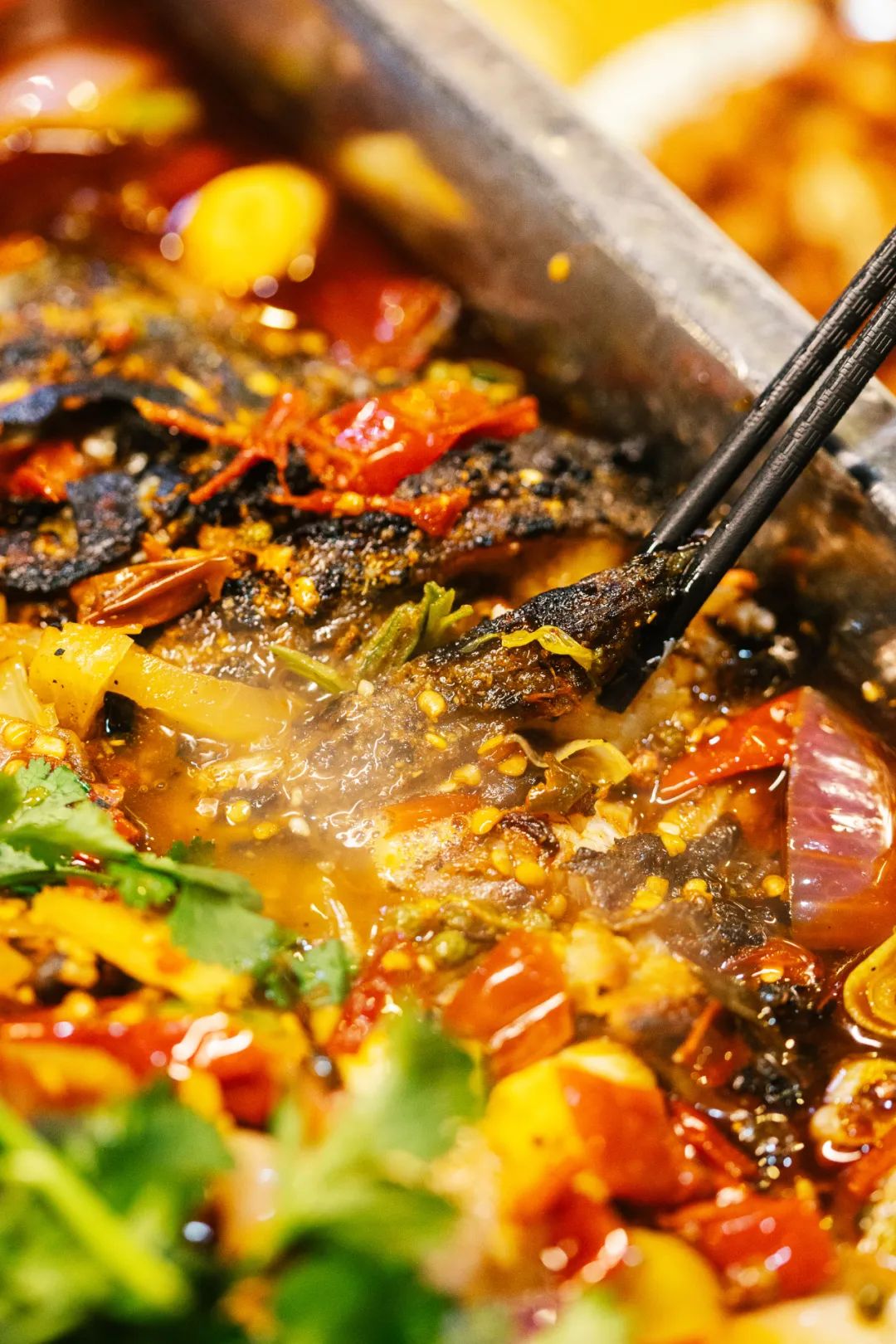 Image related to The Most Low-Key Fish-Loving Province That Revolutionized Chinese Palates