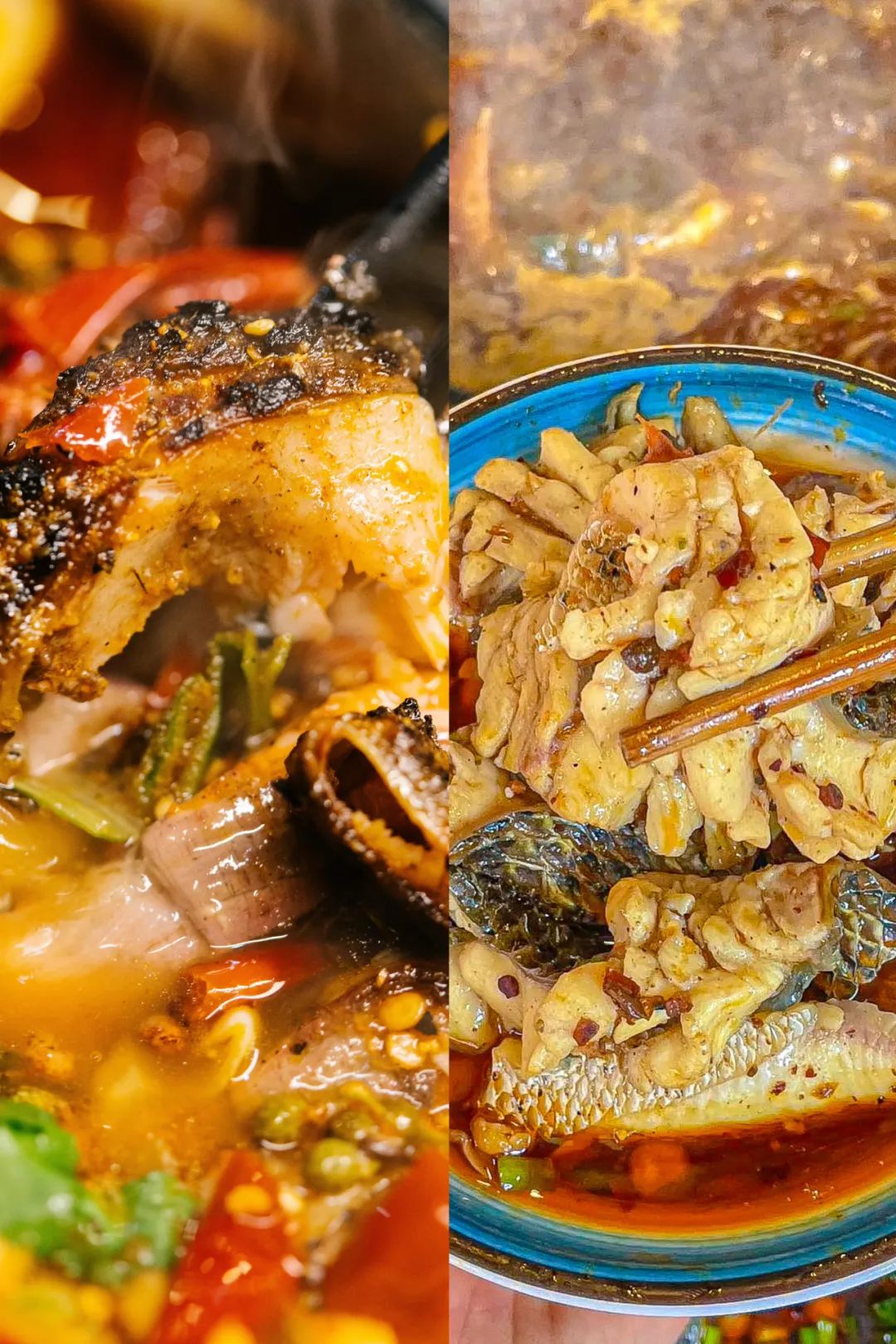 Image related to The Most Low-Key Fish-Loving Province That Revolutionized Chinese Palates