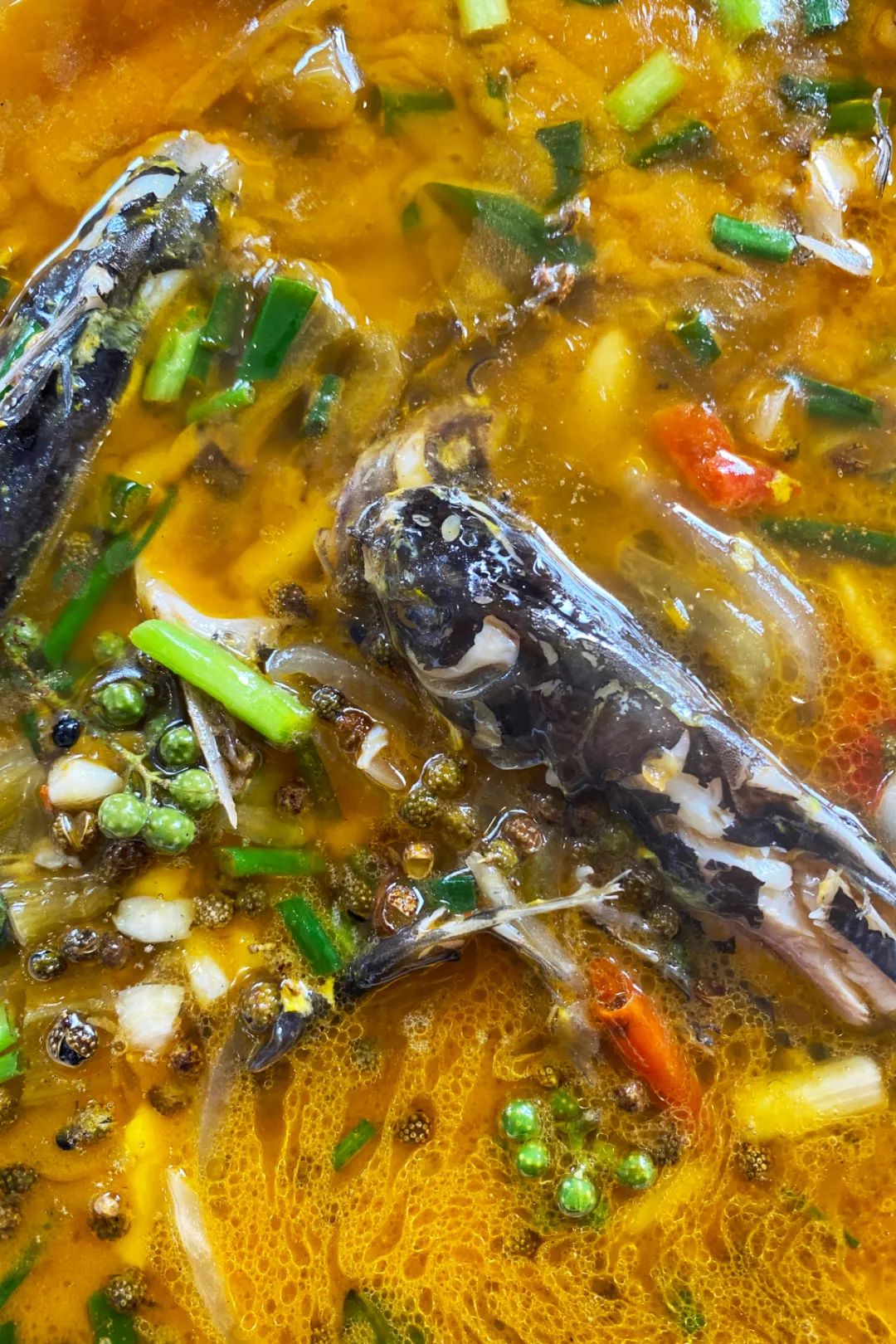 Image related to The Most Low-Key Fish-Loving Province That Revolutionized Chinese Palates