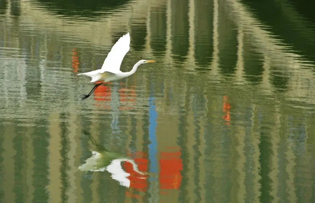 Image related to How Vital is the Wei River to Northwest China?