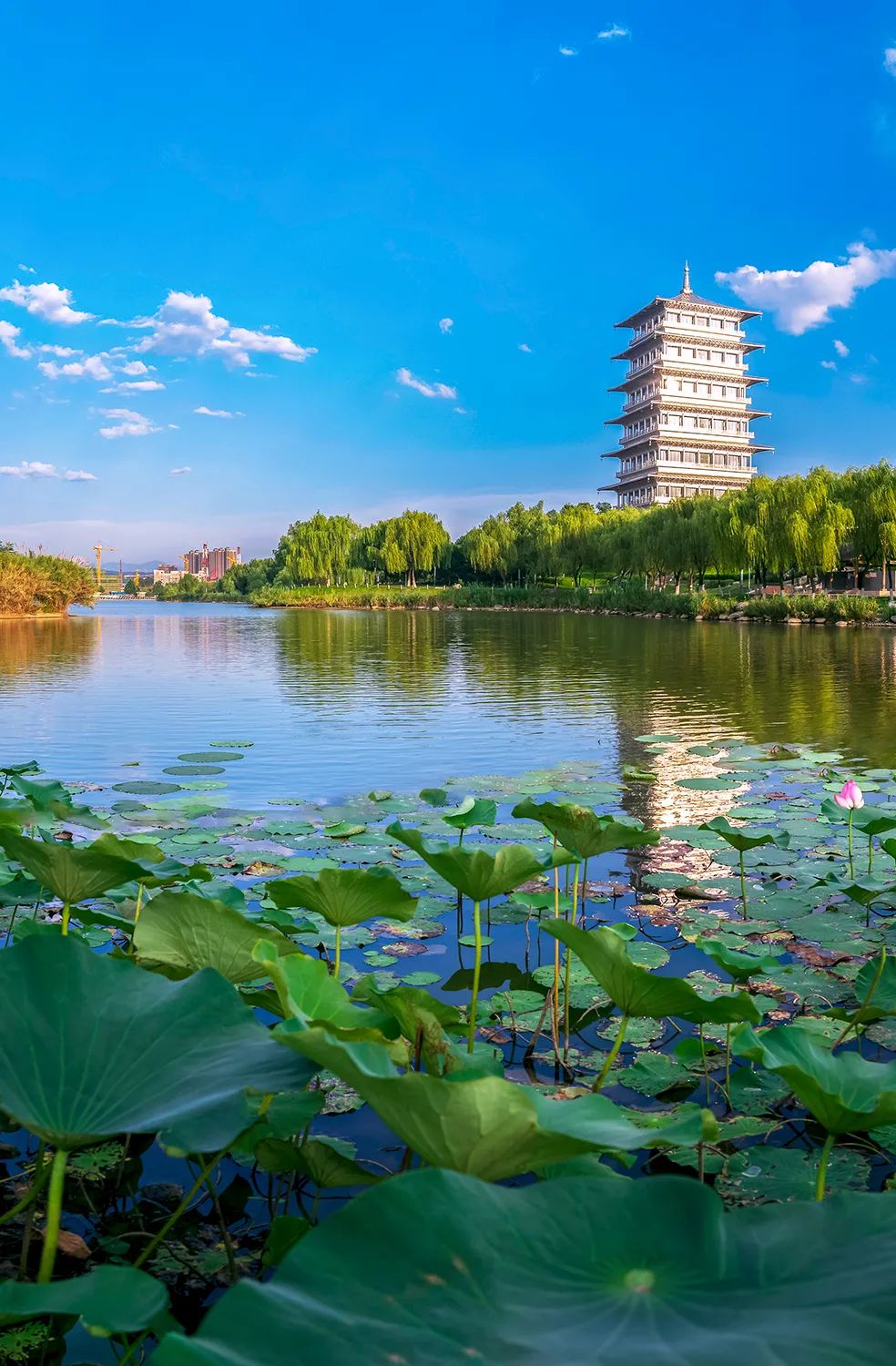 Image related to How Vital is the Wei River to Northwest China?