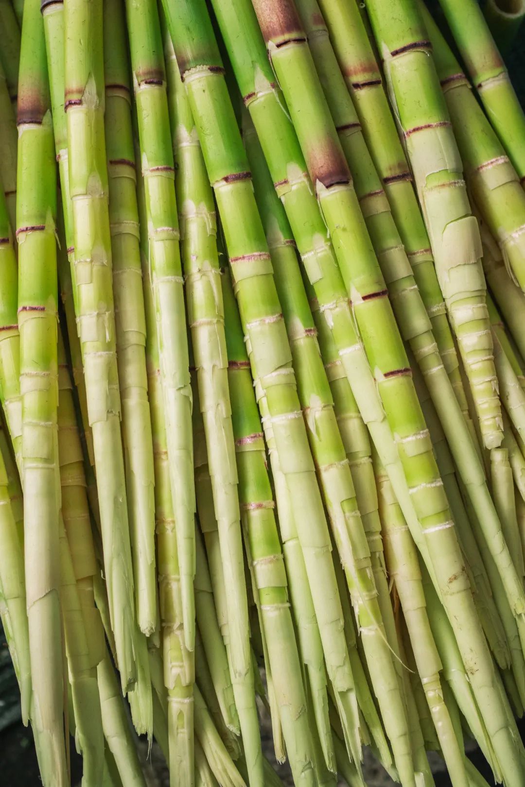 Image related to Stop Assuming Guizhou Cuisine Is All About Fishy Herb and Chili Dip!