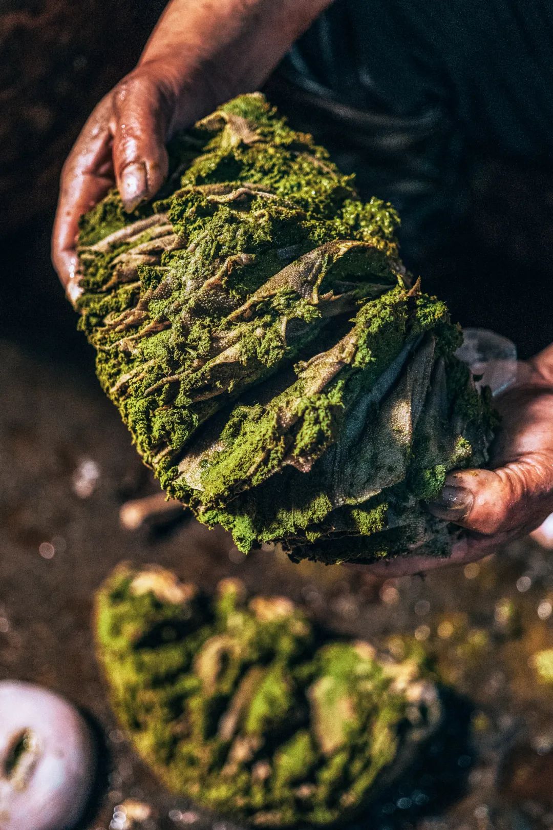 Image related to Stop Assuming Guizhou Cuisine Is All About Fishy Herb and Chili Dip!