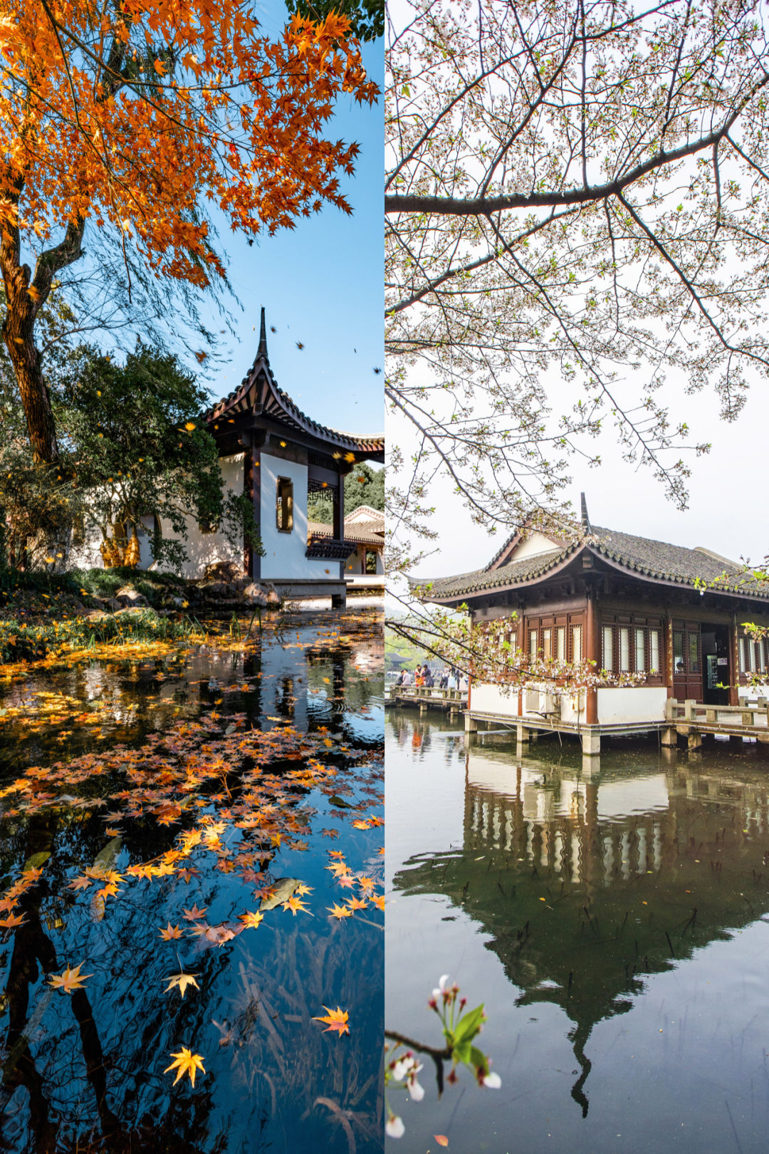 Image related to Building Lakes, Cities, and Paradise: How Hangzhou Rides the Asian Wave