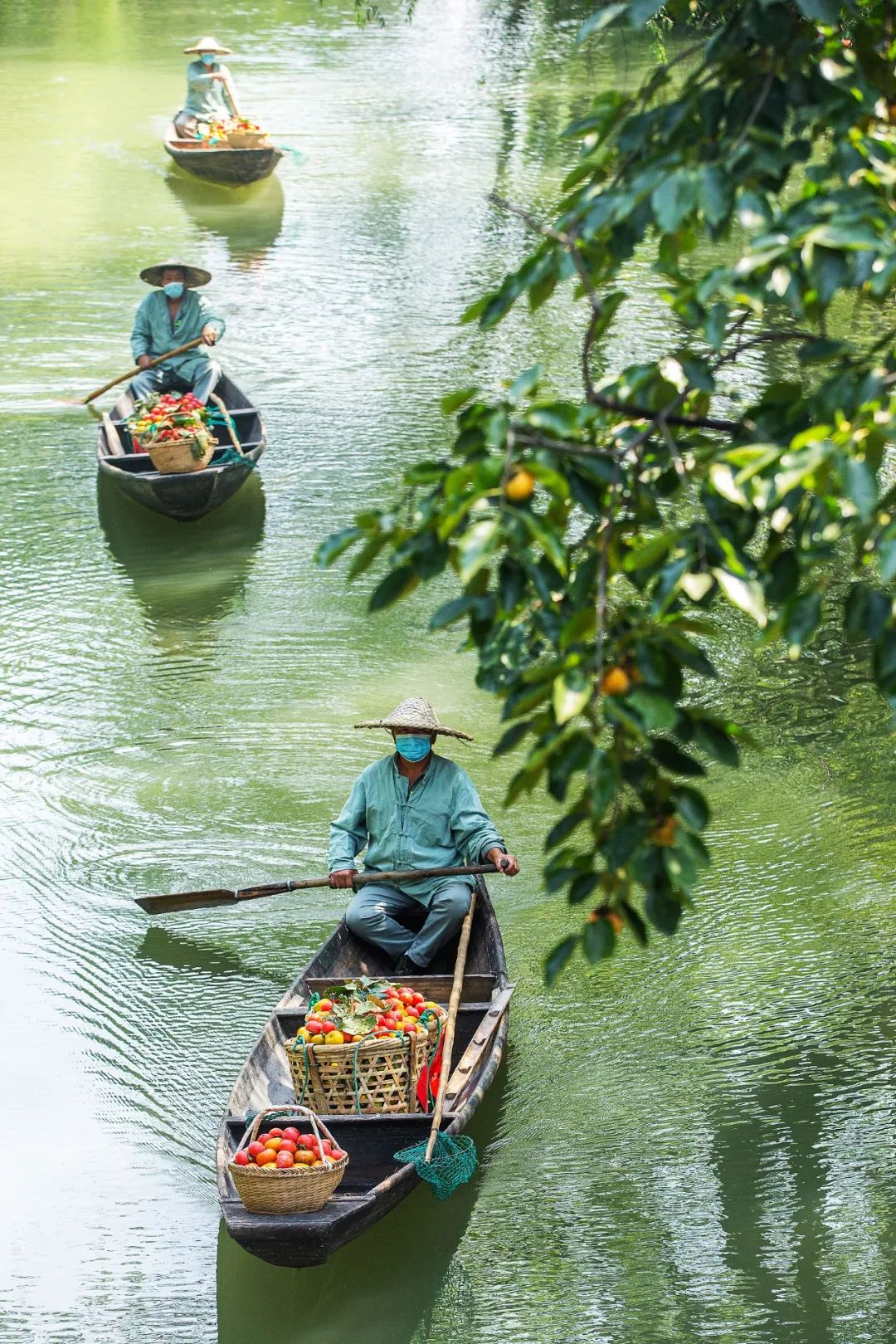 Image related to Autumn's Sweetest Delight: A Journey of Fruitful Bliss Across China