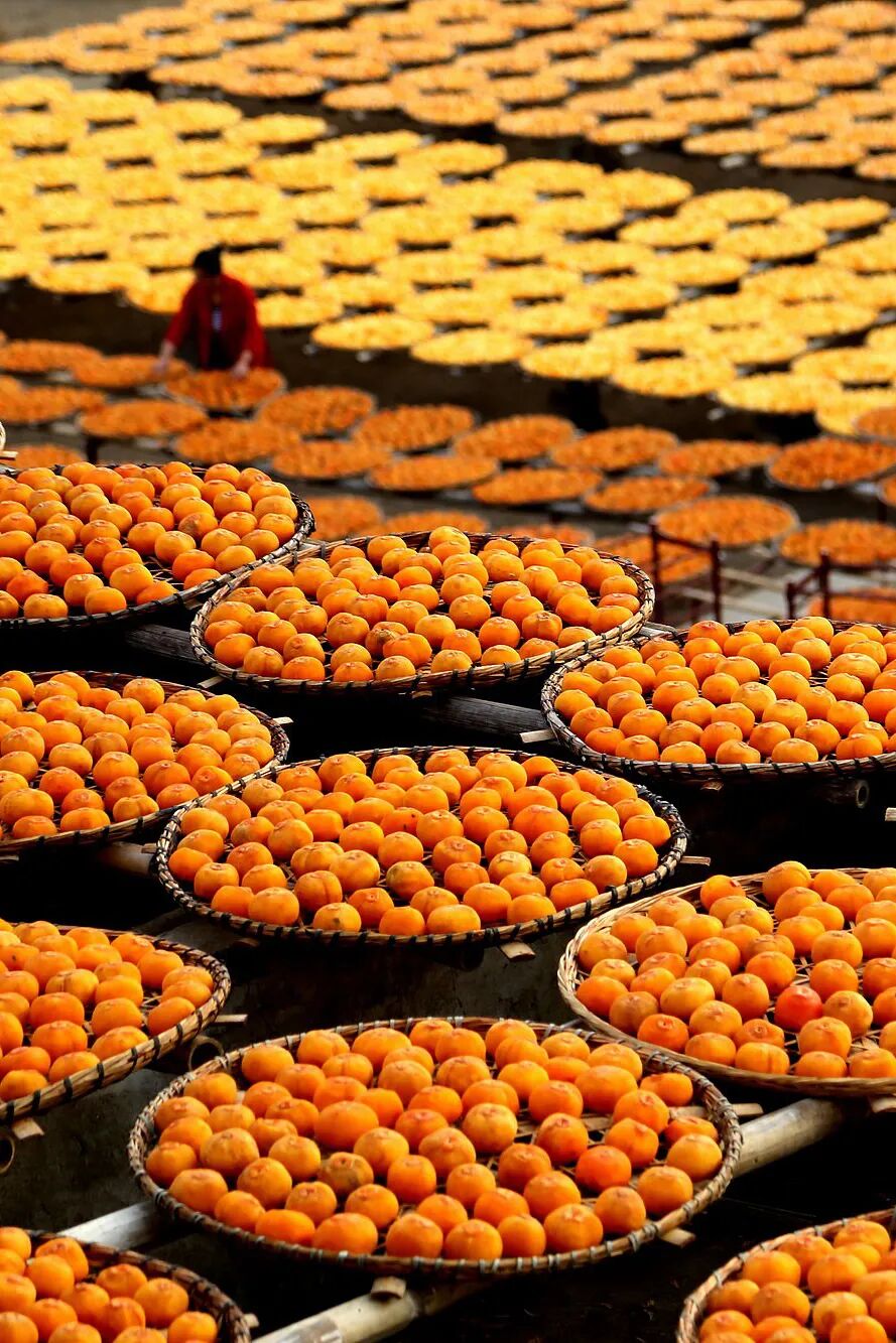 Image related to Autumn's Sweetest Delight: A Journey of Fruitful Bliss Across China