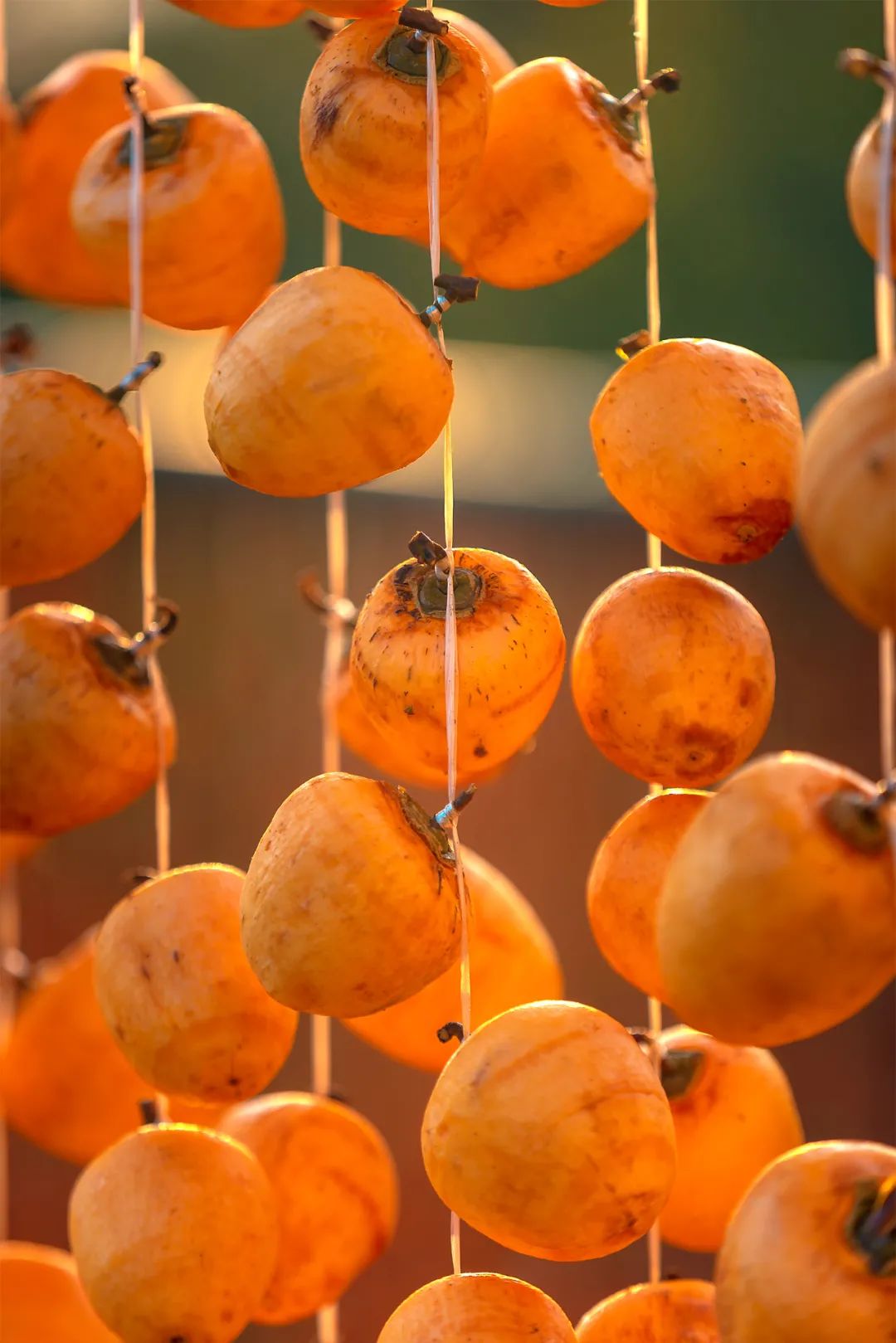 Image related to Autumn's Sweetest Delight: A Journey of Fruitful Bliss Across China