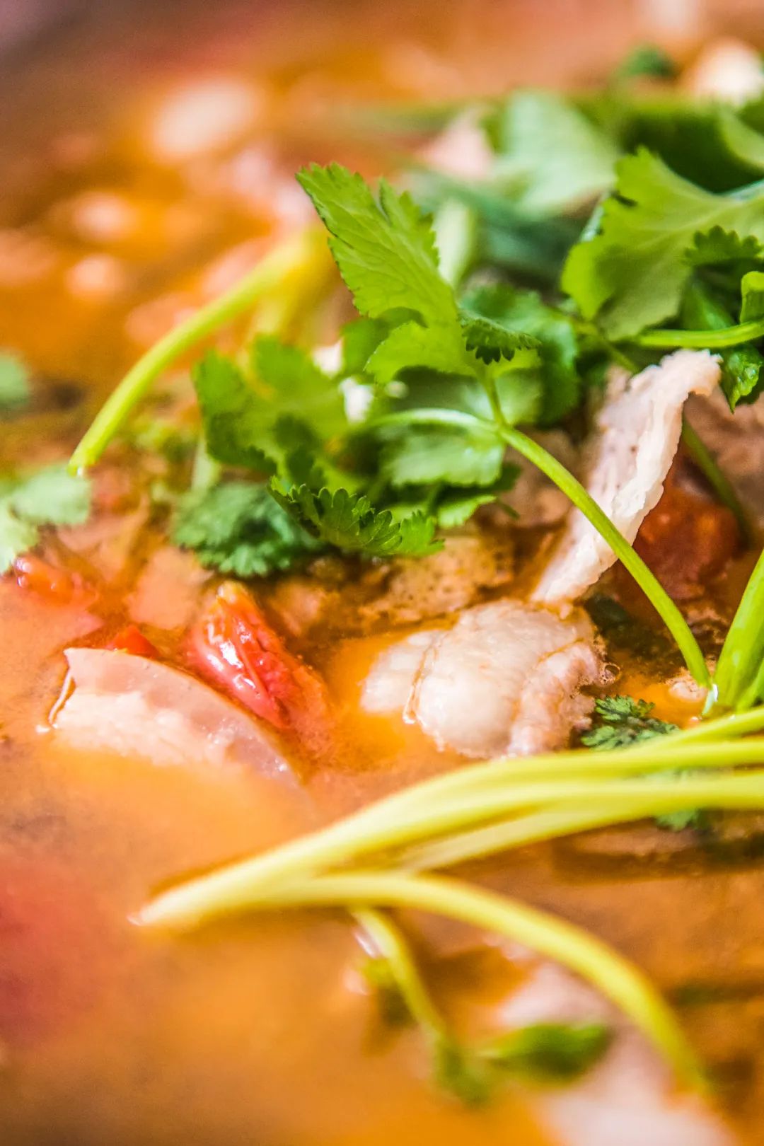Image related to Why Is Guizhou the Global Hub for Premium Fermented Foods?
