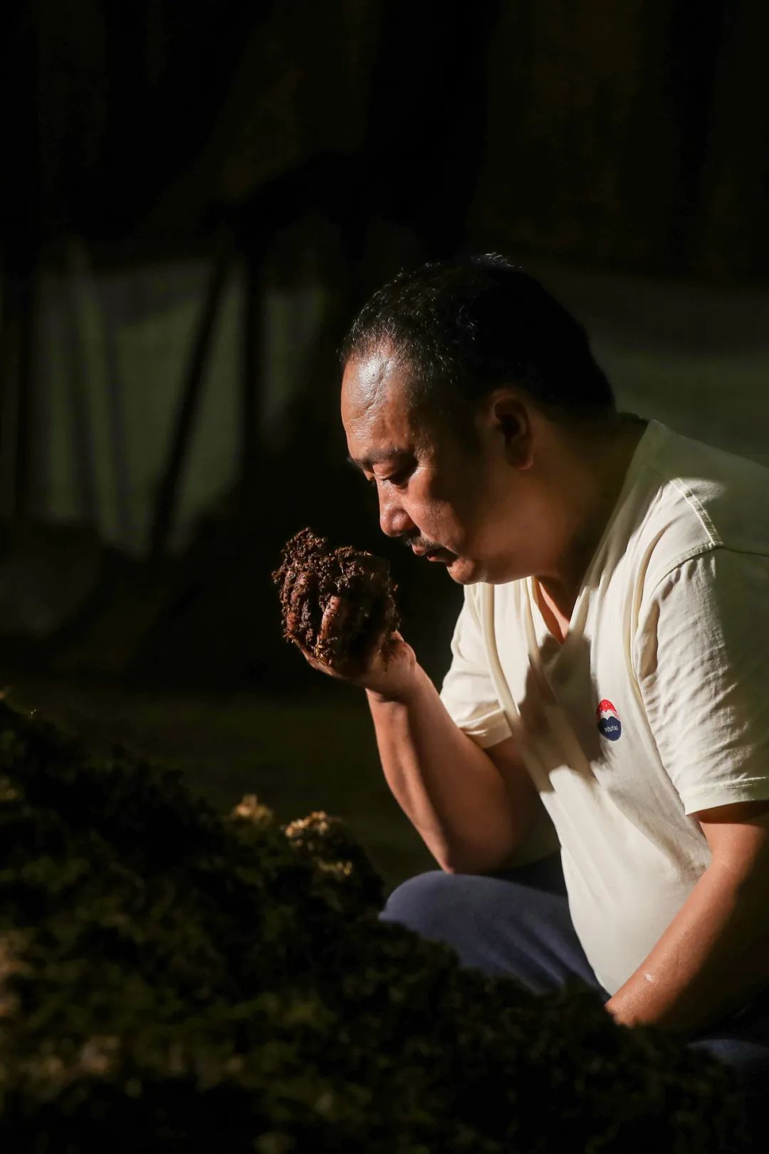 Image related to Why Is Guizhou the Global Hub for Premium Fermented Foods?