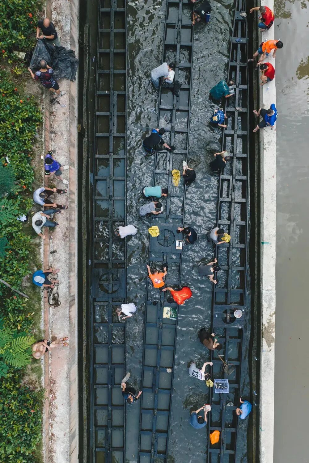 Image related to I've Been Working for Two Days, Why Are Cantonese Still Racing Dragon Boats?