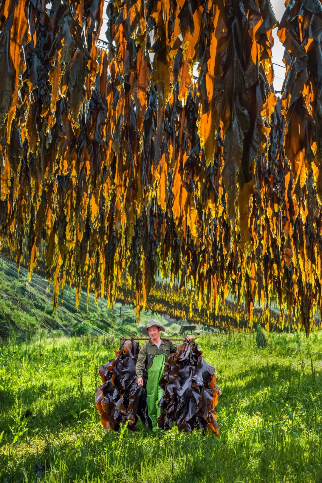 Image related to How Did This Small County in Northeast Fujian Become China's Seafood Sensation?
