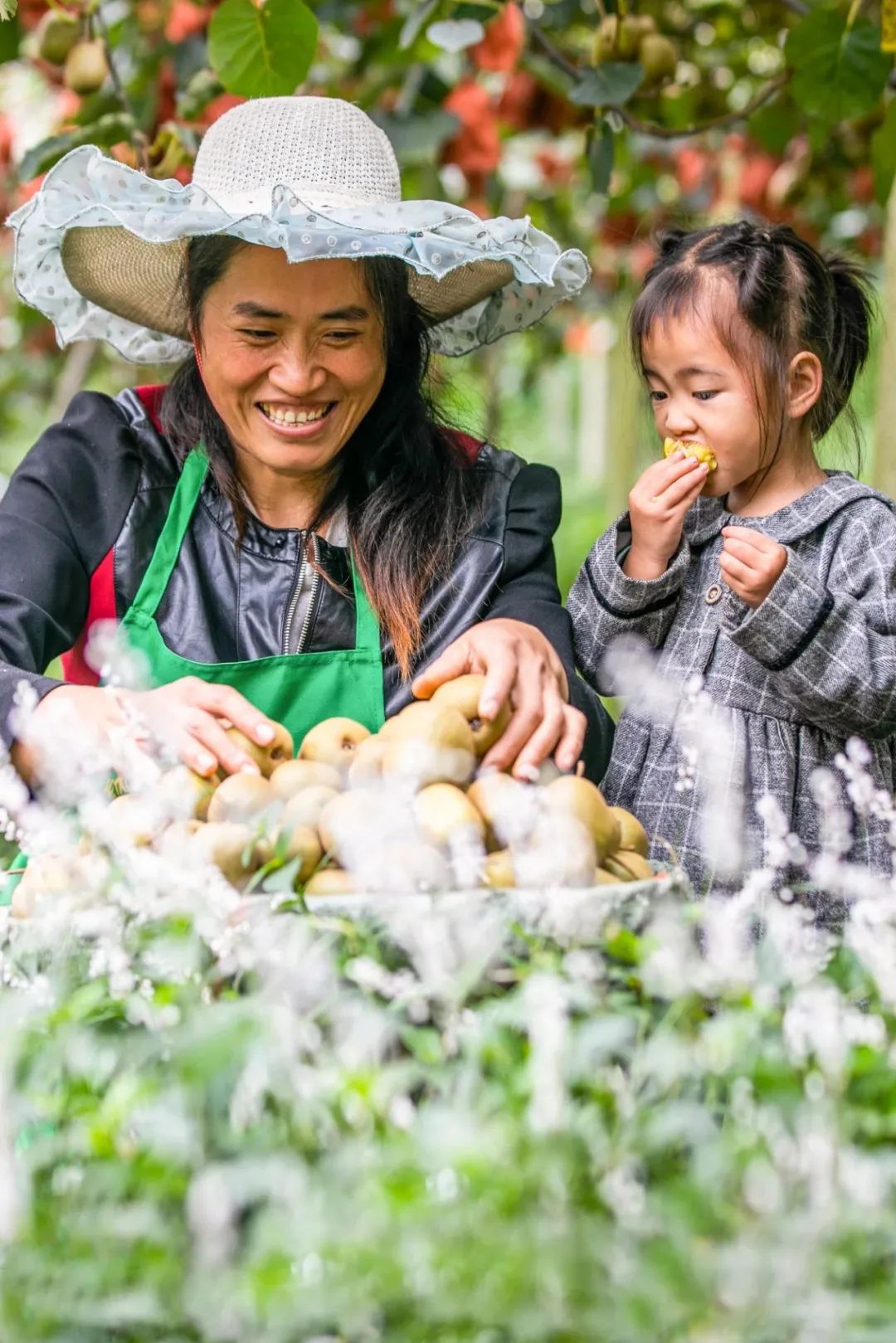 Image related to Why is Guizhou the Kiwi Kingdom?