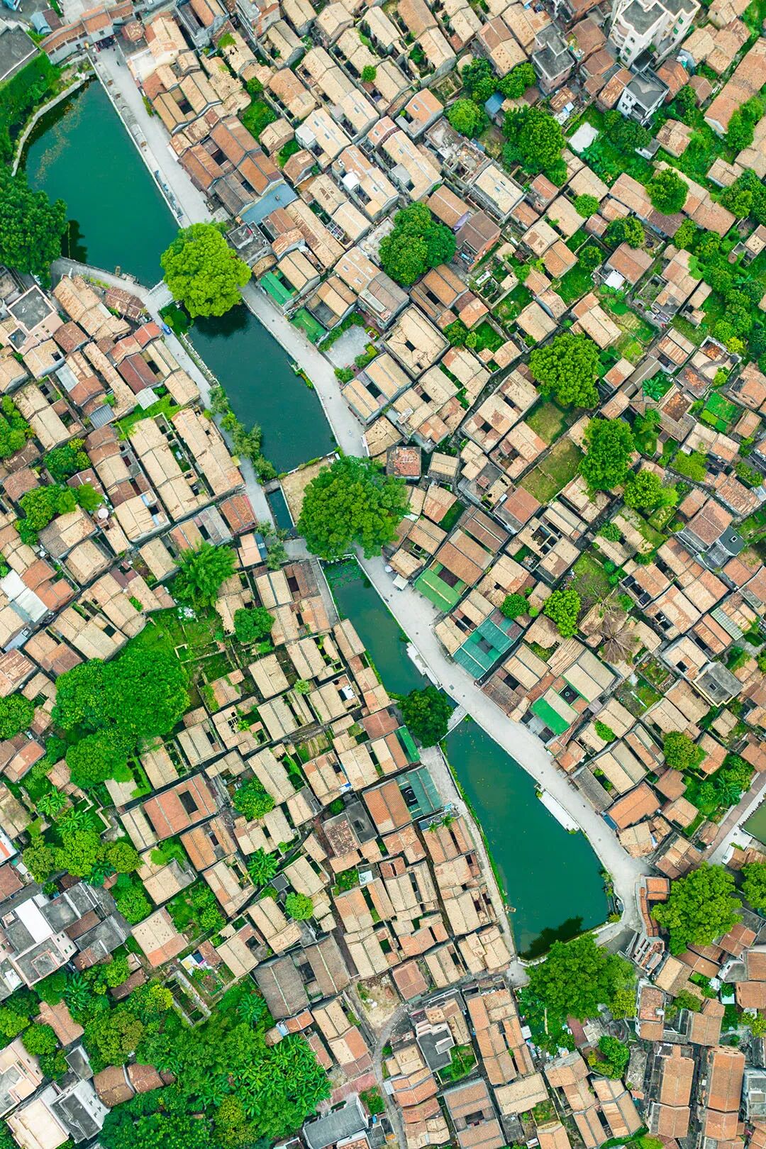 Image related to Guangdong's Youngest City: A Culinary Gem Rivaling Shunde and Chaoshan