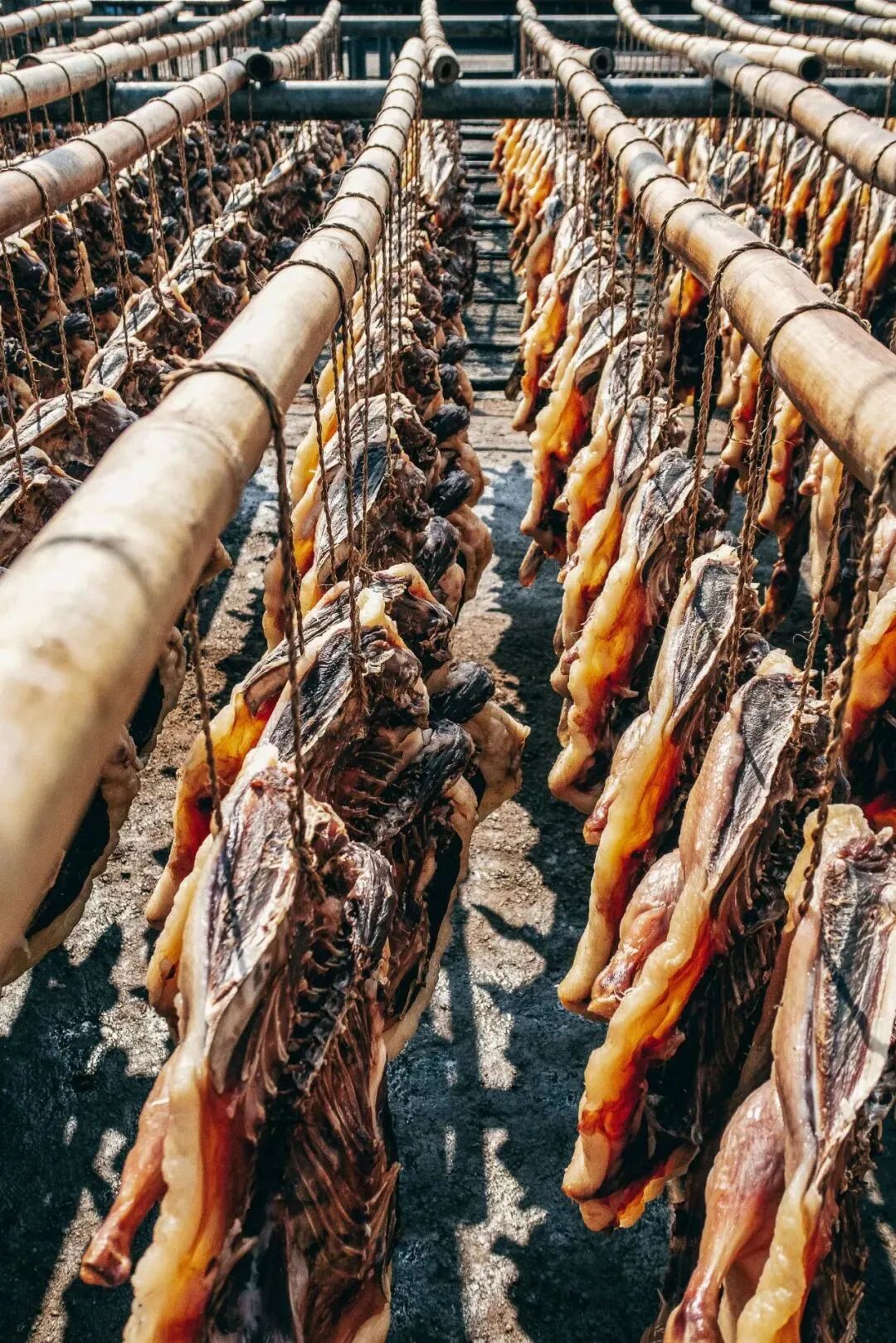 Image related to Guangdong's Youngest City: A Culinary Gem Rivaling Shunde and Chaoshan