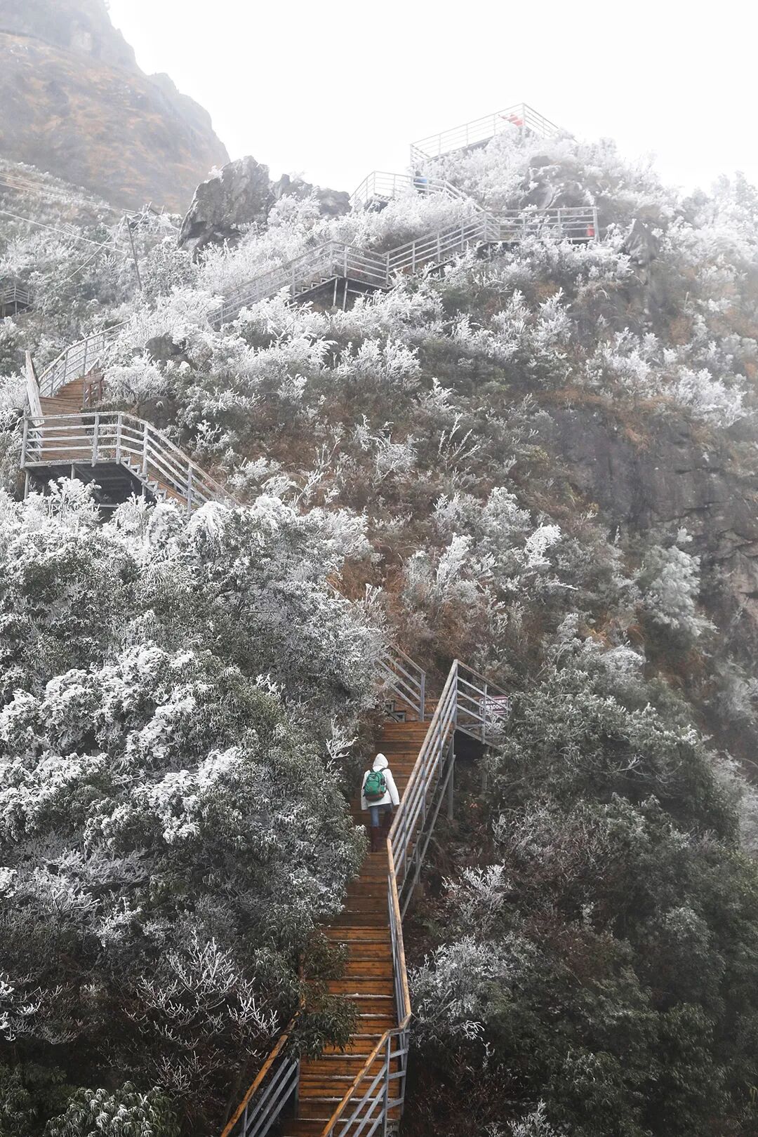 Image related to Guangdong's Youngest City: A Culinary Gem Rivaling Shunde and Chaoshan