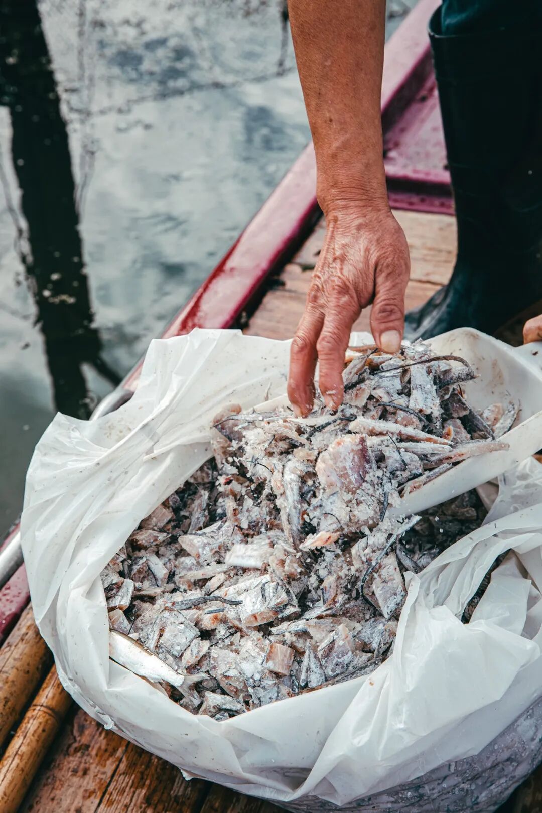 Image related to How Amazing Is Jiangsu's Crab Farming Industry?
