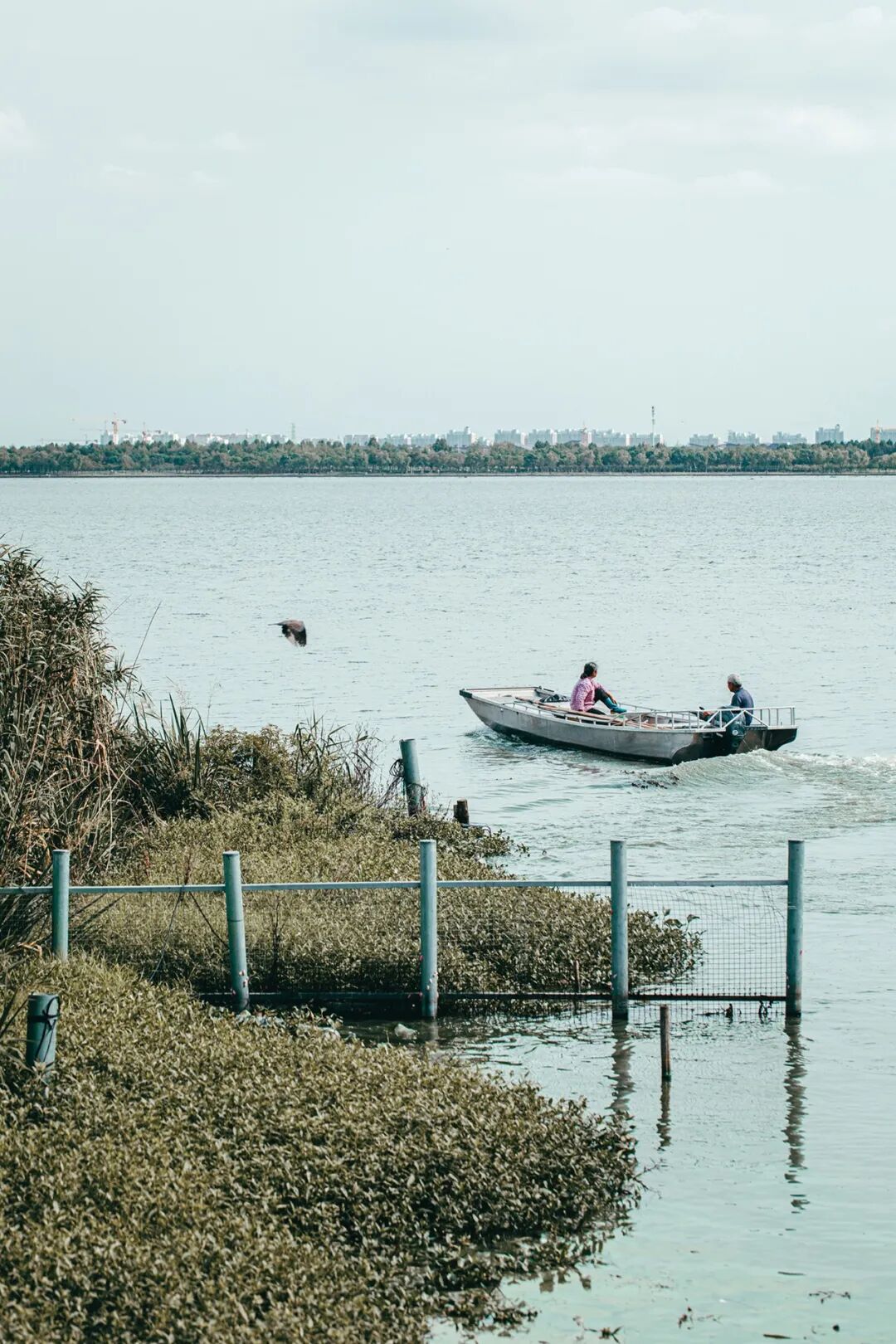 Image related to How Amazing Is Jiangsu's Crab Farming Industry?