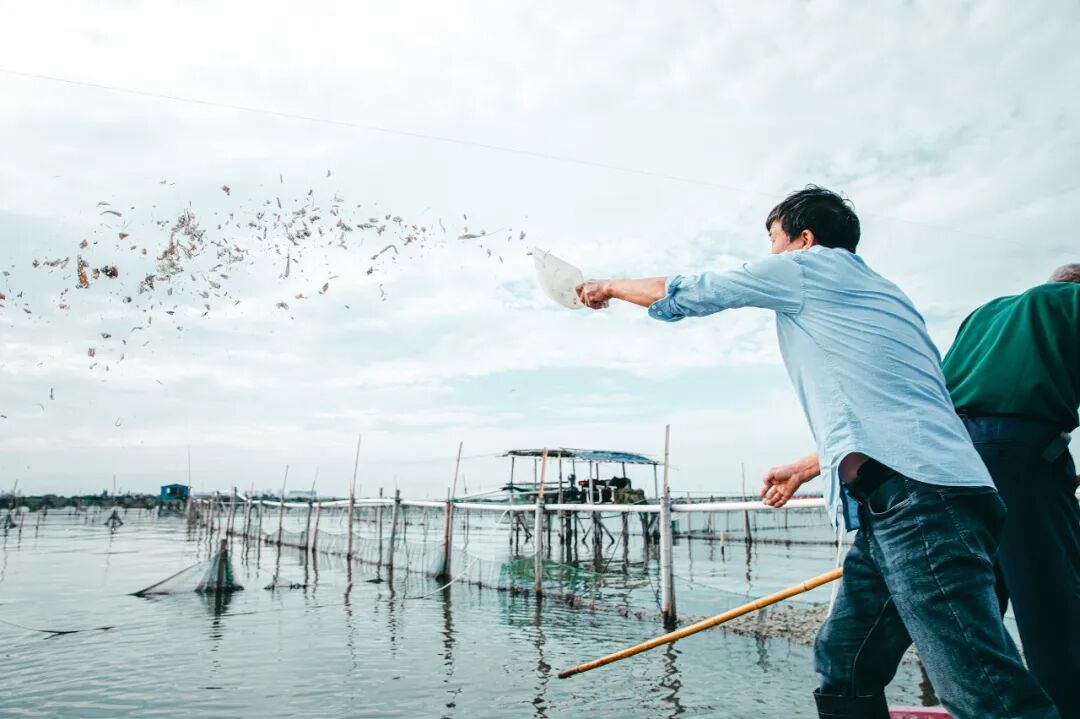 Image related to How Amazing Is Jiangsu's Crab Farming Industry?