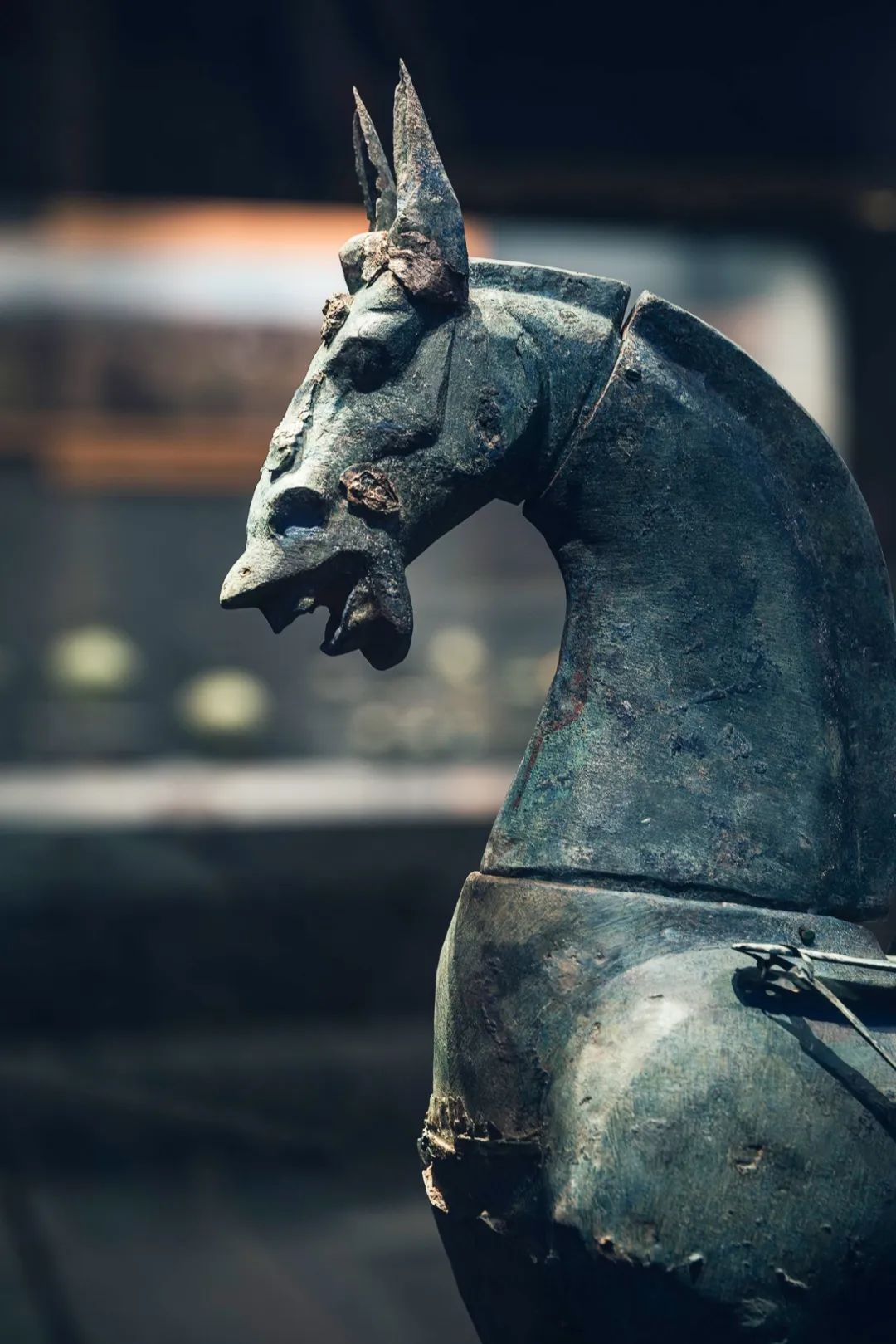 Image related to Why Guizhou is China's Best-Kept Winter Treasure Destination?