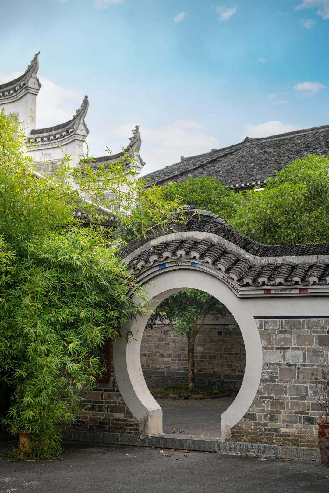 Image related to Why Guizhou is China's Best-Kept Winter Treasure Destination?