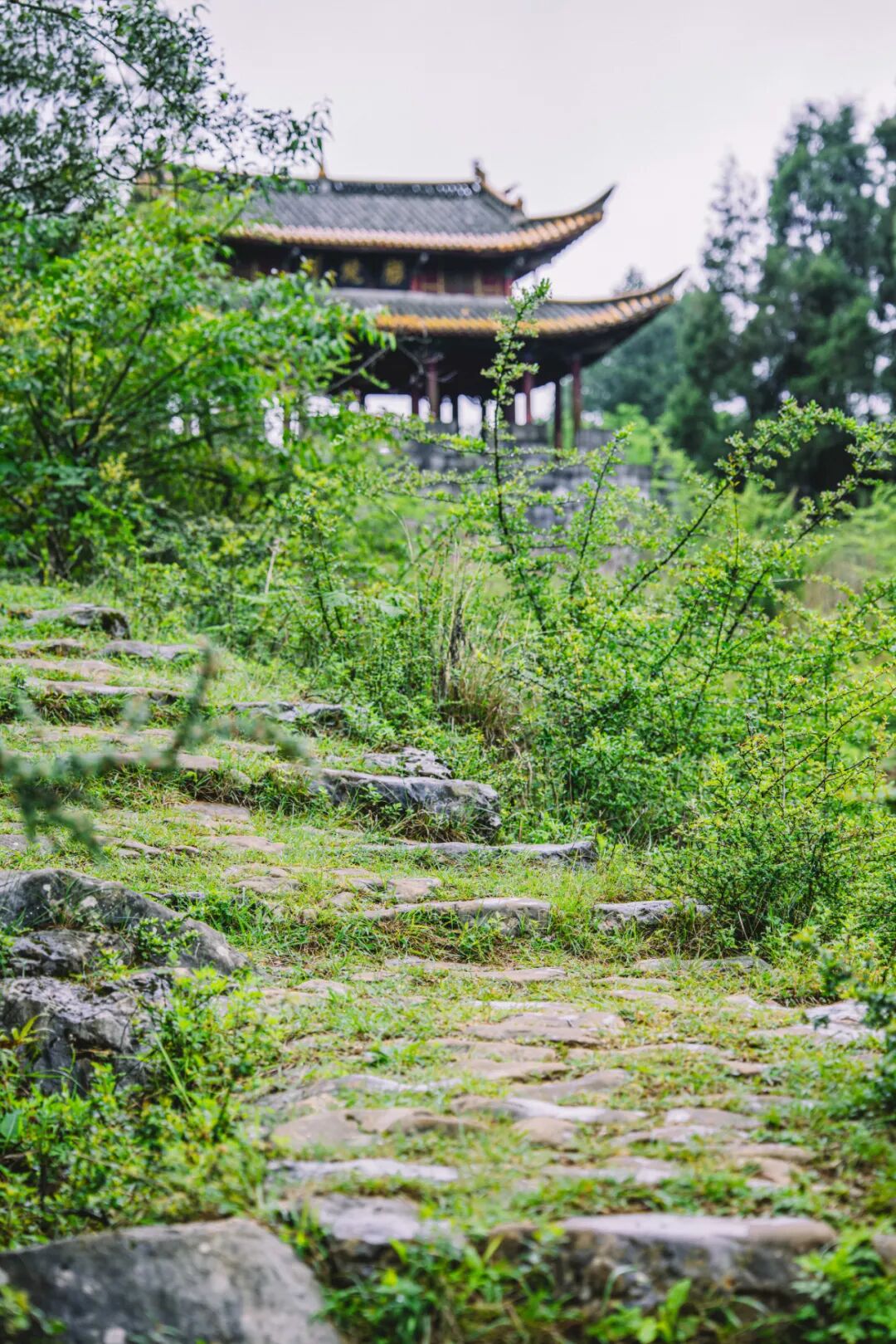 Image related to Building Guizhou! Securing the Southwest! How Epic Is the 600-Year Legacy of Tunpu?