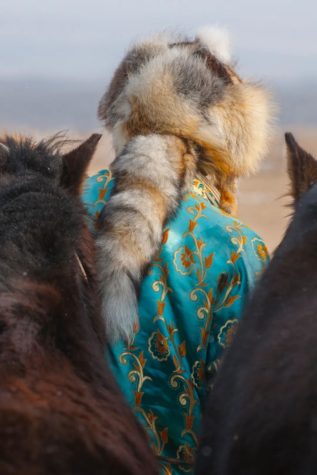 Image related to Why Does Vast and Endless Inner Mongolia Hold "Half of China" Within Its Borders?