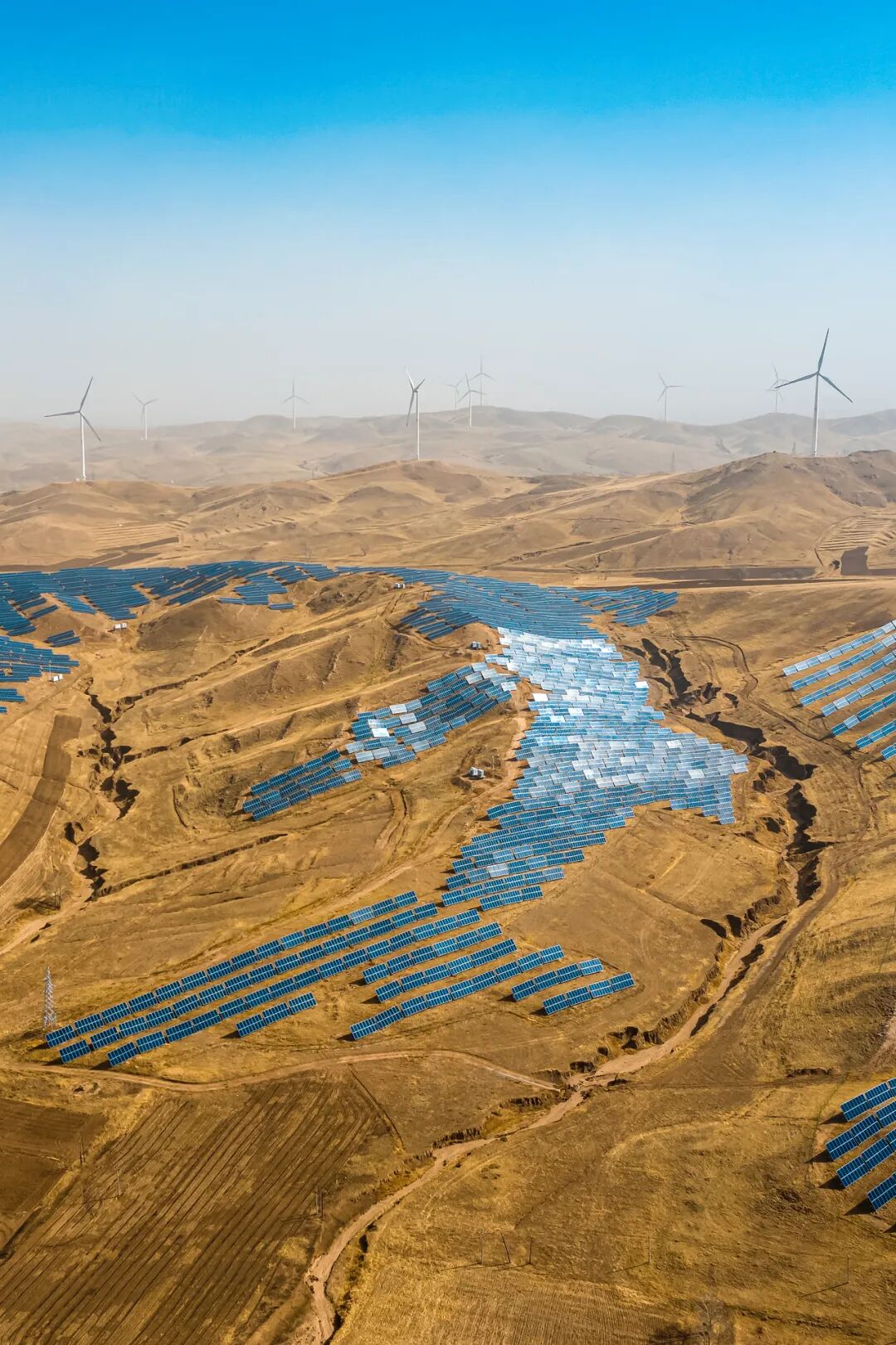 Image related to Why Does Vast and Endless Inner Mongolia Hold "Half of China" Within Its Borders?