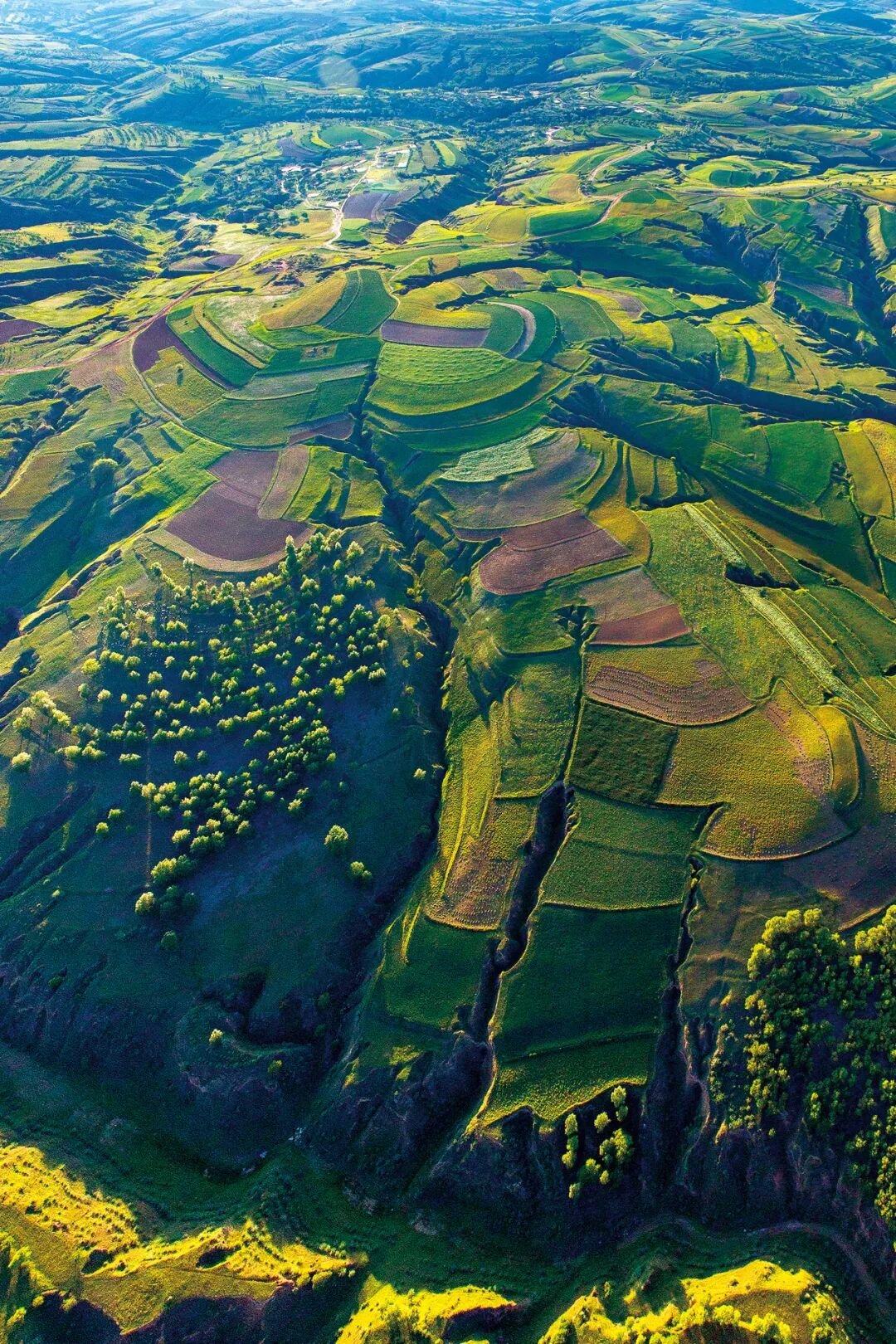 Image related to Why Does Vast and Endless Inner Mongolia Hold "Half of China" Within Its Borders?