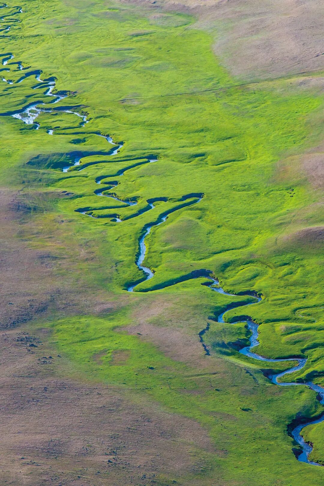 Image related to Why Does Vast and Endless Inner Mongolia Hold "Half of China" Within Its Borders?