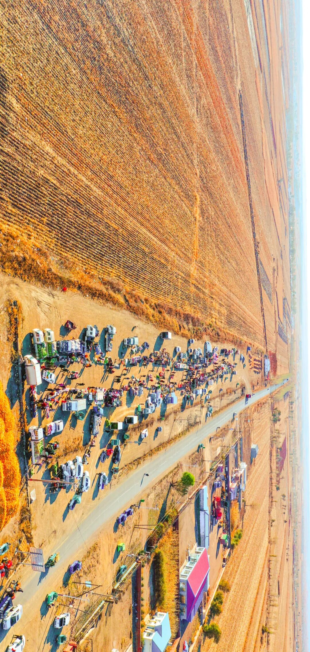 Image related to You Haven’t Really Been to Northeast China Without Visiting a Morning Market