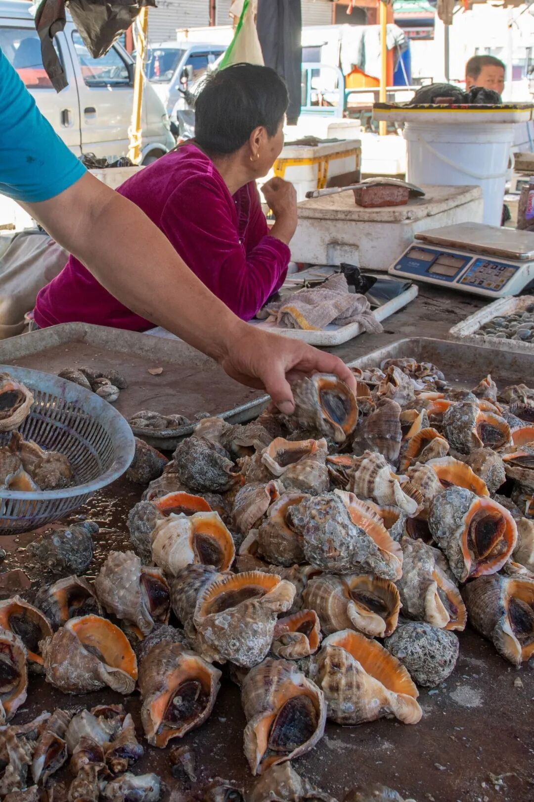 Image related to You Haven’t Really Been to Northeast China Without Visiting a Morning Market