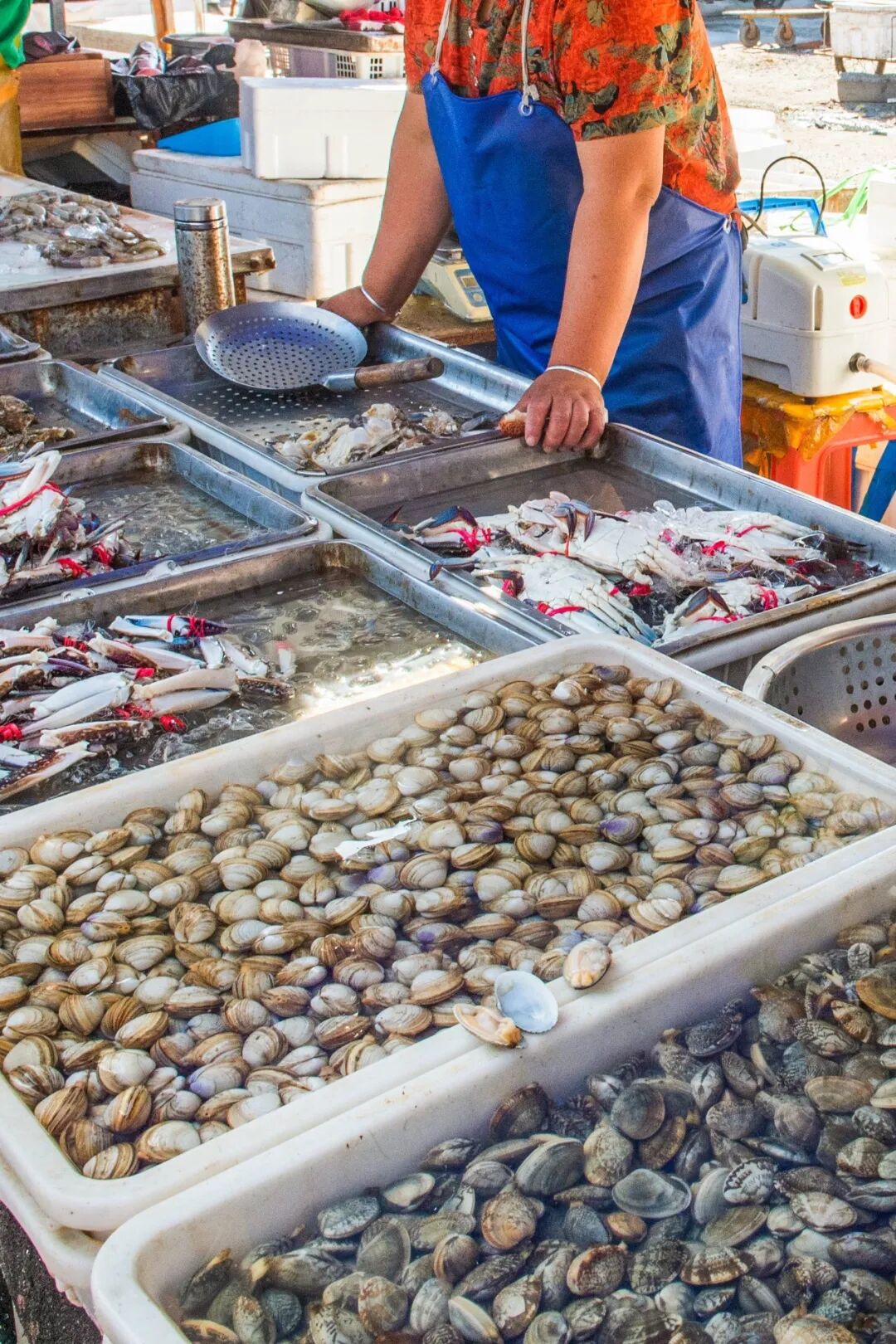 Image related to You Haven’t Really Been to Northeast China Without Visiting a Morning Market