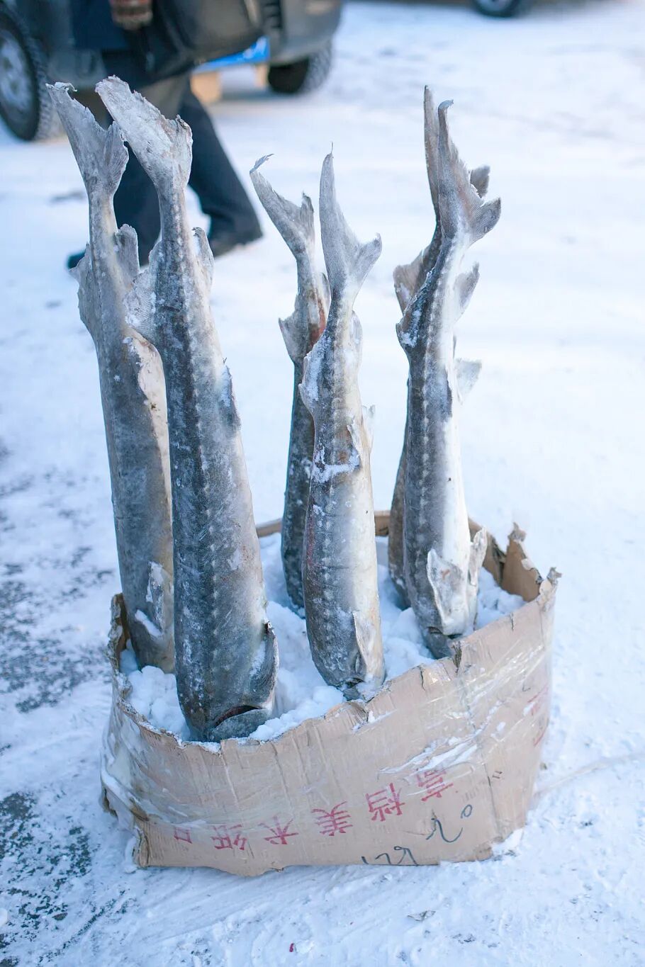 Image related to You Haven’t Really Been to Northeast China Without Visiting a Morning Market