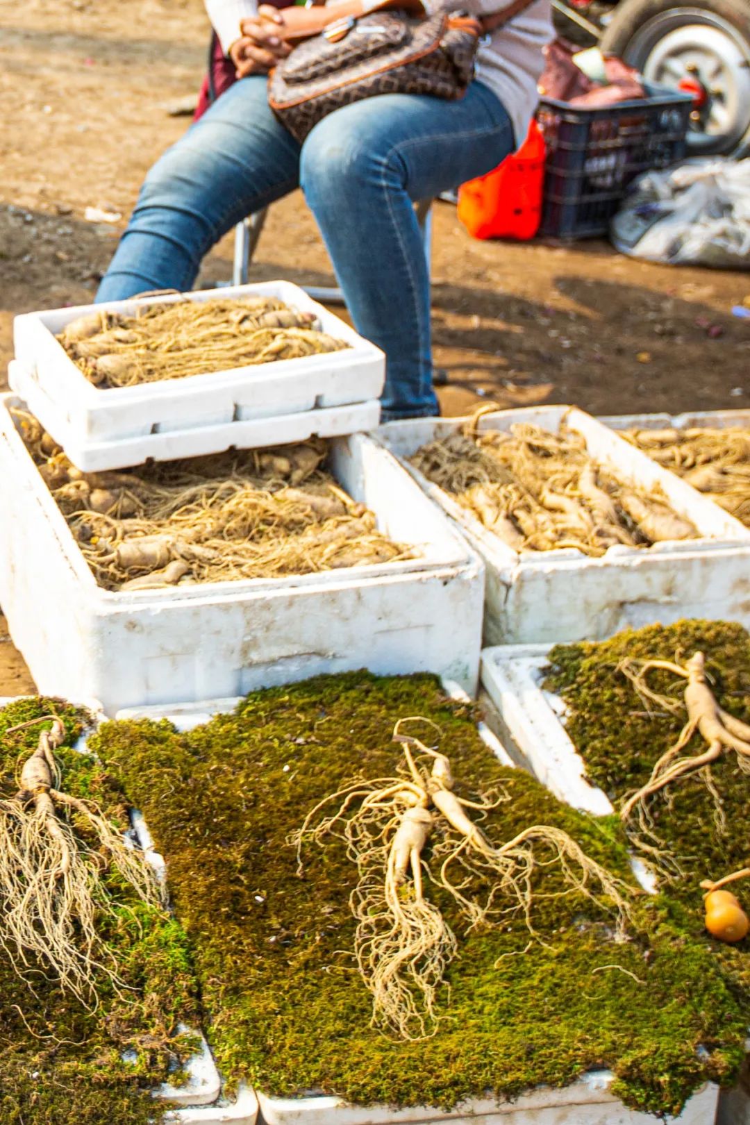 Image related to You Haven’t Really Been to Northeast China Without Visiting a Morning Market