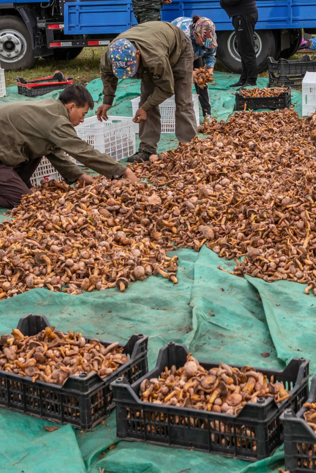 Image related to You Haven’t Really Been to Northeast China Without Visiting a Morning Market