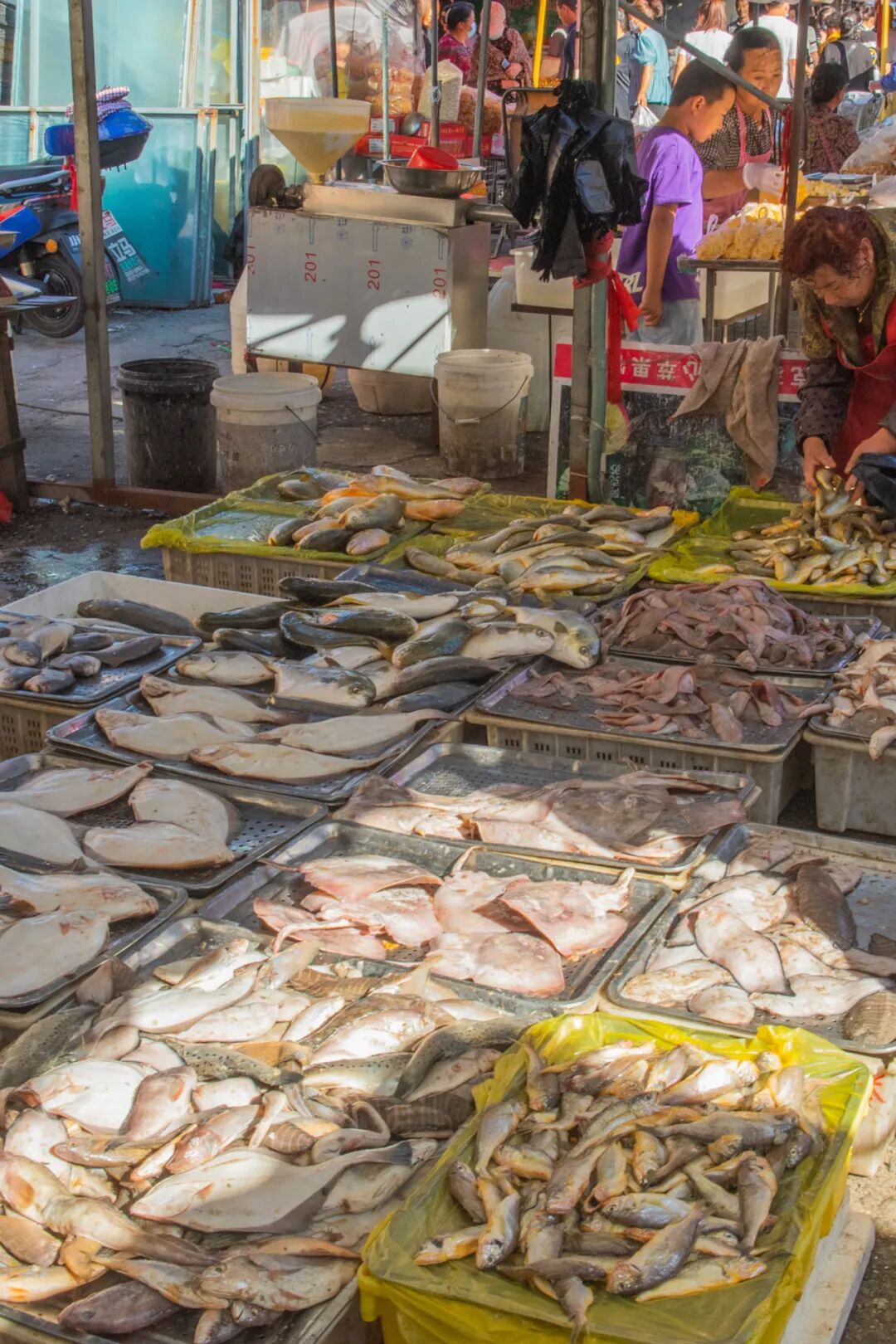 Image related to You Haven’t Really Been to Northeast China Without Visiting a Morning Market