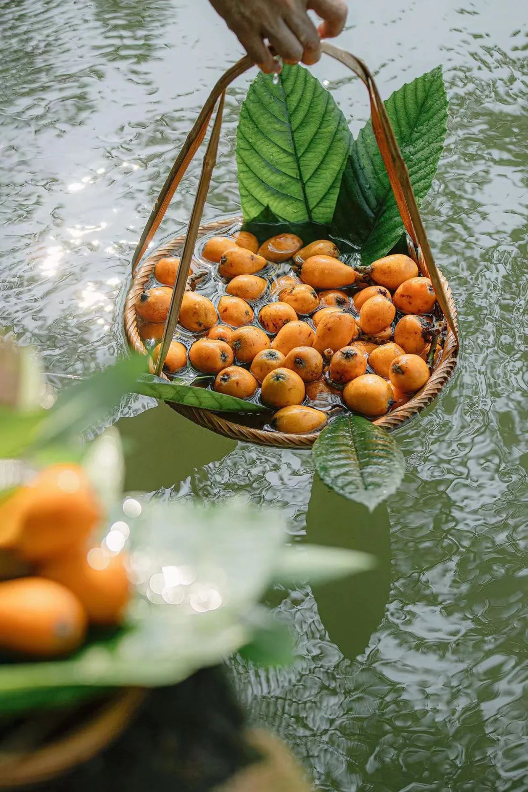 Image related to How Sweet Is China's First Fruit of Early Summer?