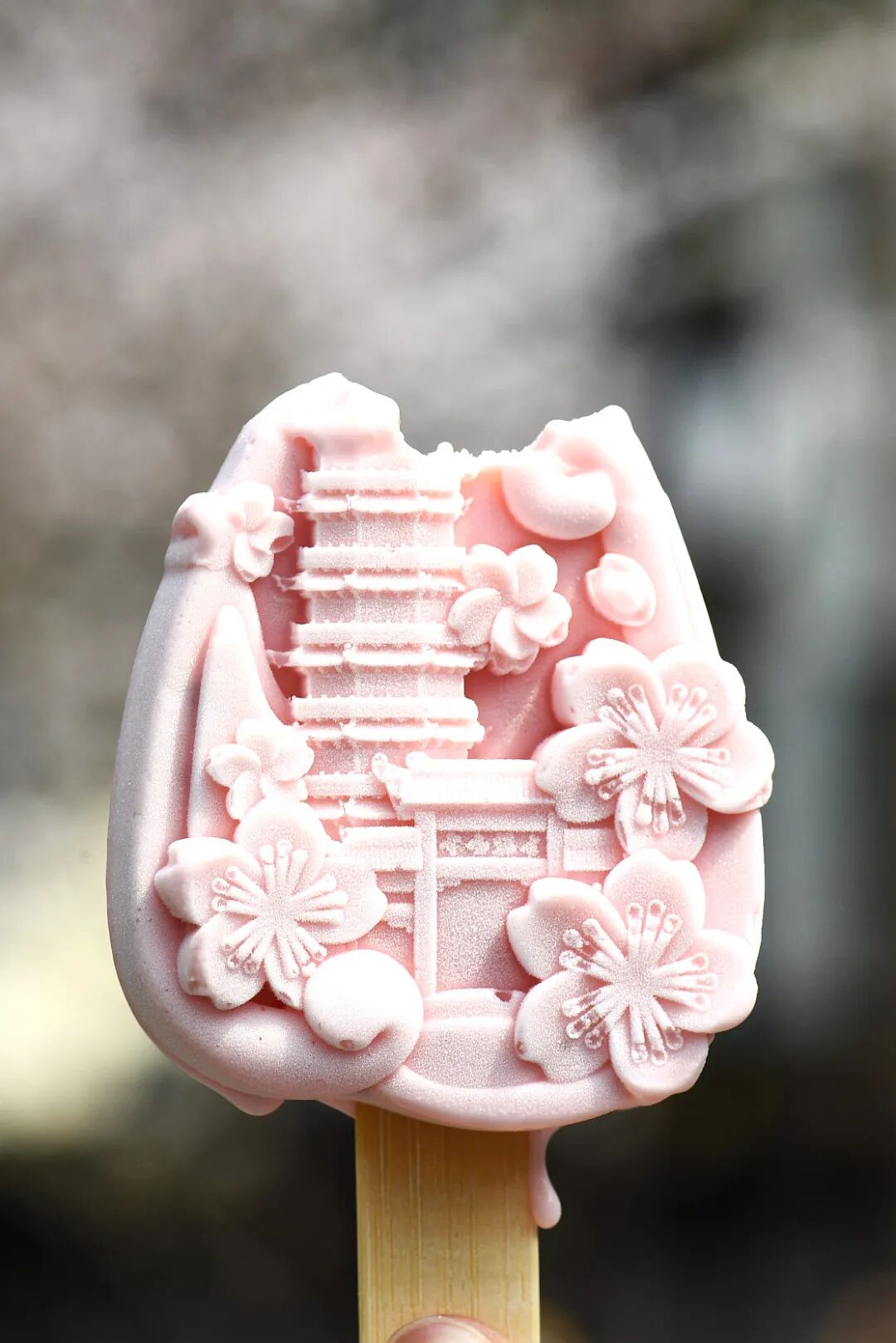 Image related to China's Cherry Blossom Map: Where to Find the Most Stunning Sakura?