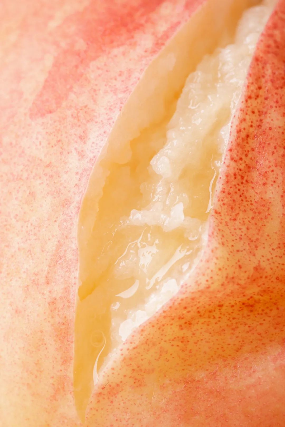 How Delicious Are Northern Peaches? Southerners Would Never Guess!