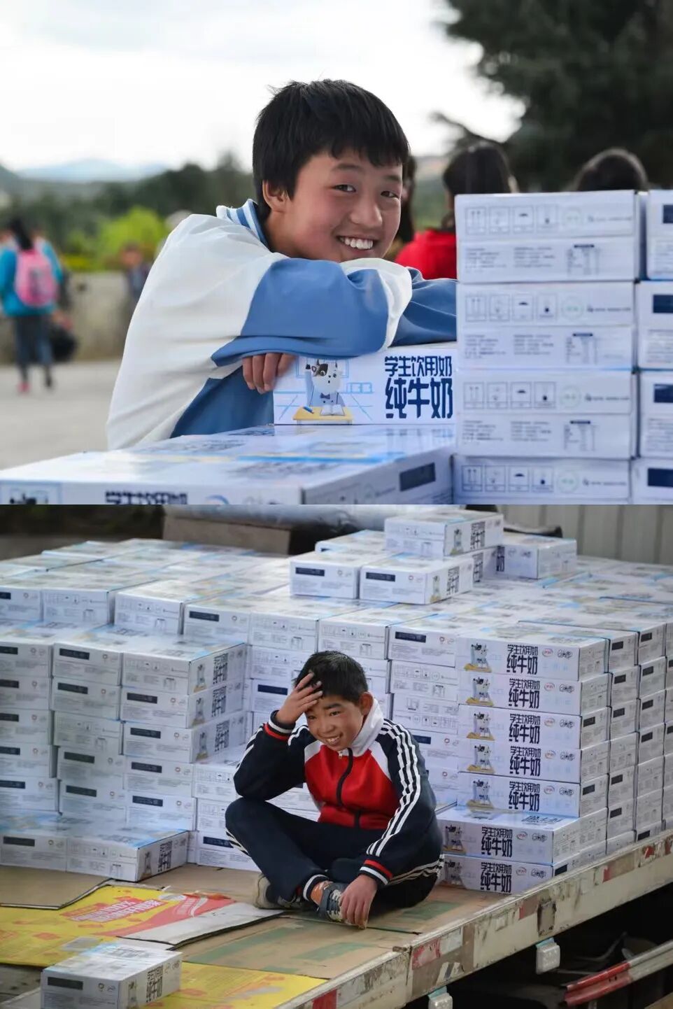 Image related to How Spectacular Has Milk's Journey in China Been?