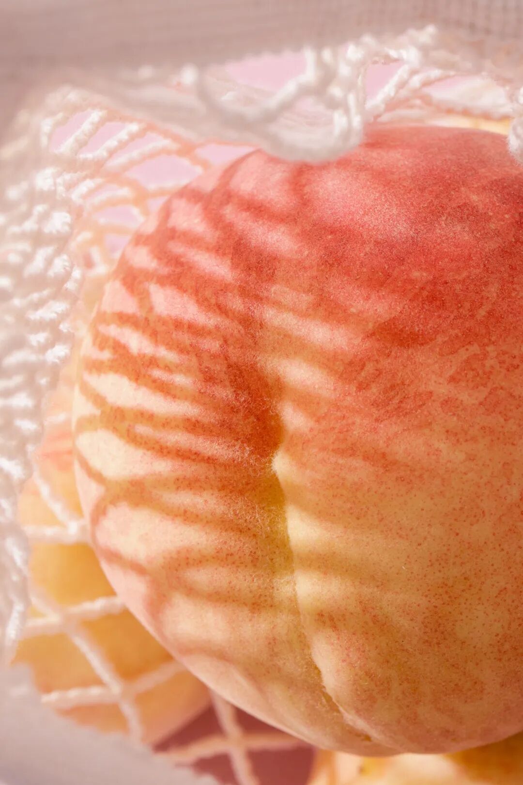 Image related to How Delicious Are Northern Peaches? Southerners Would Never Guess!