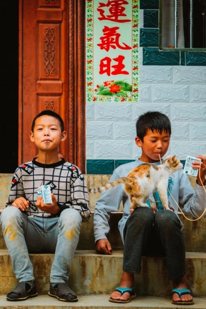 Image related to How Spectacular Has Milk's Journey in China Been?